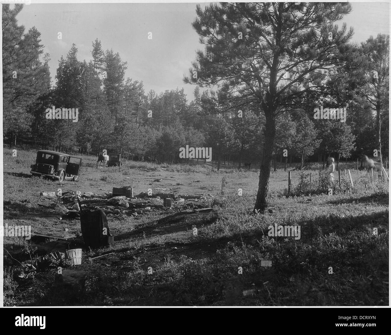 Diese Abbildung zeigt den unteren Rand einer Zeichnung am Einsamen Federplatzierer, wobei die Ausläufer von den Bohrungen mit den Nummern 3 bis 7 hervorgehoben werden. Diese Löcher sind Bergbauaktivitäten für die Mineralexploration. Stockfoto