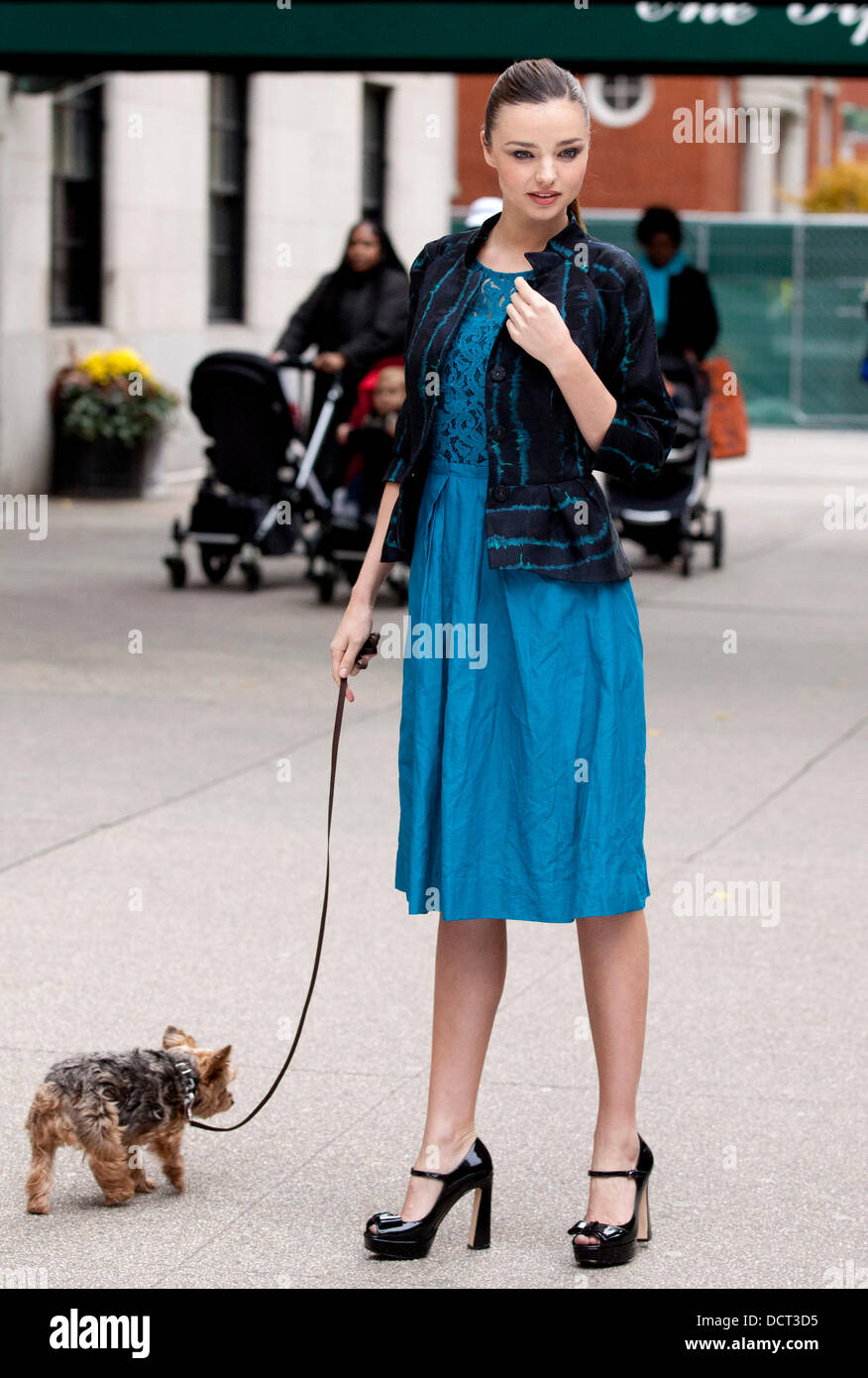 Miranda Kerr beteiligt sich an einem Foto-Shooting bei One Fifth Avenue, begleitet von ihrem Haustier Yorkshire-Terrier, Frankie New York City, USA - 21.11.11 Stockfoto