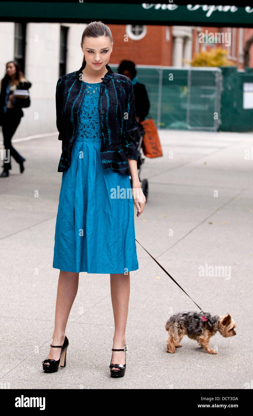 Miranda Kerr beteiligt sich an einem Foto-Shooting bei One Fifth Avenue, begleitet von ihrem Haustier Yorkshire-Terrier, Frankie New York City, USA - 21.11.11 Stockfoto