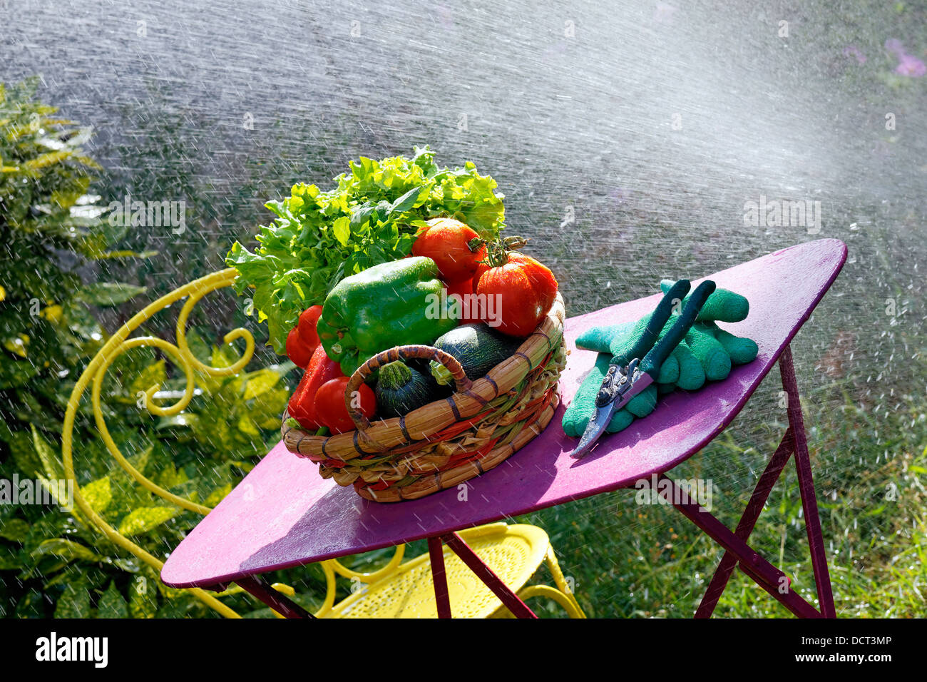 Gemüse und Wasserstrahl im Garten Stockfoto