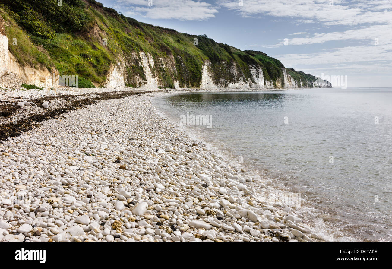 Hohen Kreidefelsen und Strand Kies, Danes Dyke, Bridlington, Yorkshire, Großbritannien. Stockfoto