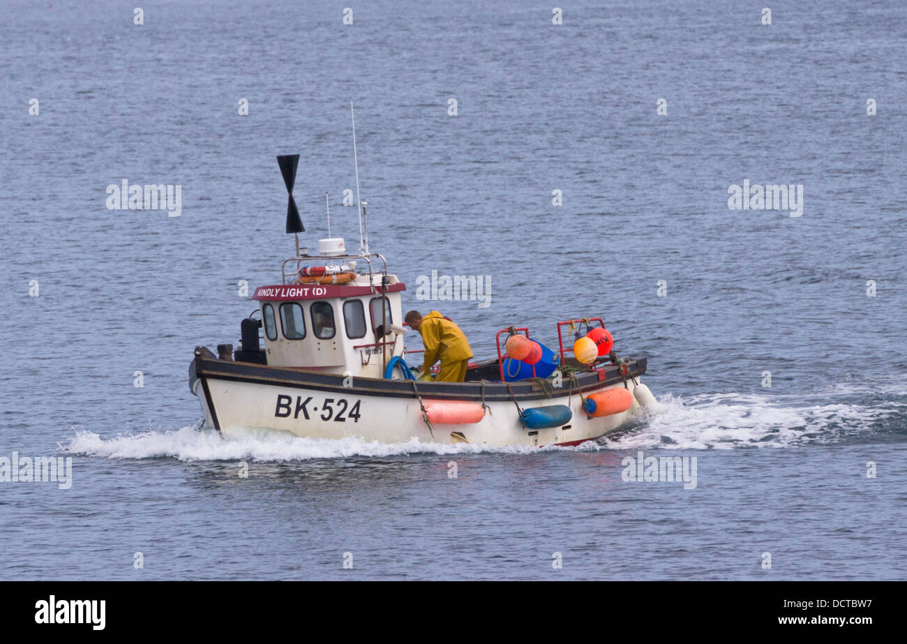 Angelboote/Fischerboote in Coverack auf der Lizard Halbinsel Cornwall England UK BK524 bitte Lichter Stockfoto
