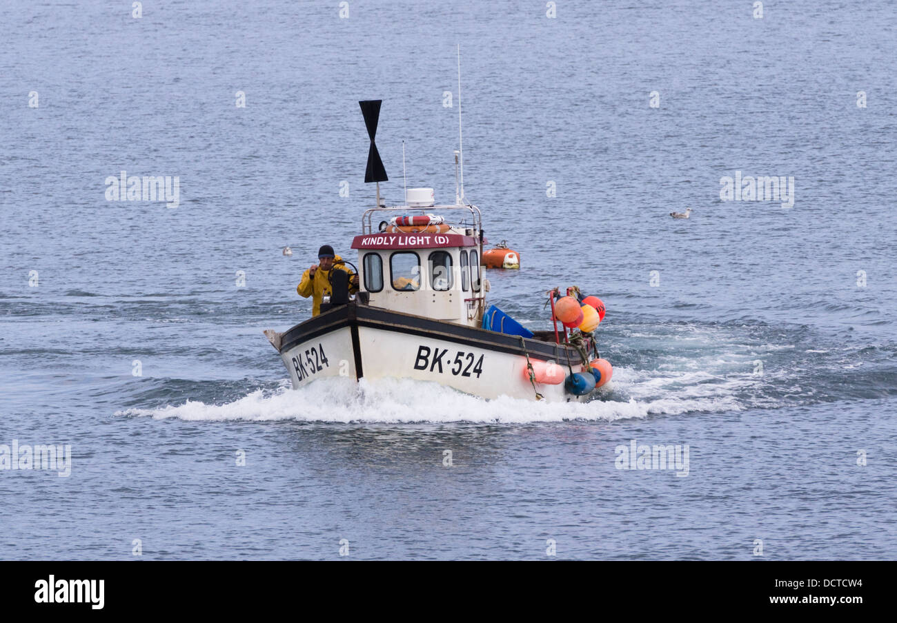 Angelboote/Fischerboote in Coverack auf der Lizard Halbinsel Cornwall England UK BK524 bitte Lichter Stockfoto