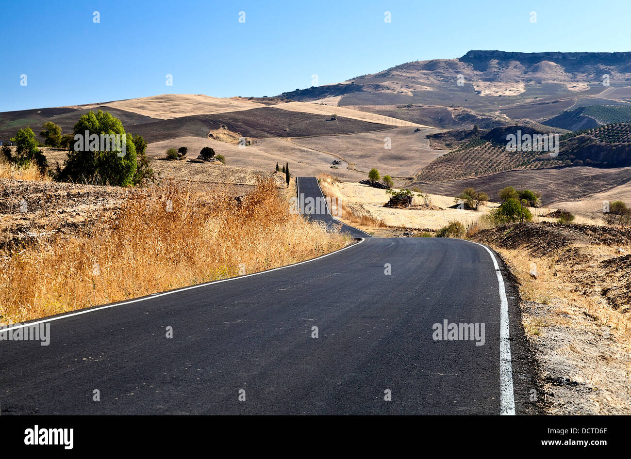 Asphaltstraße in Andalusien Stockfoto