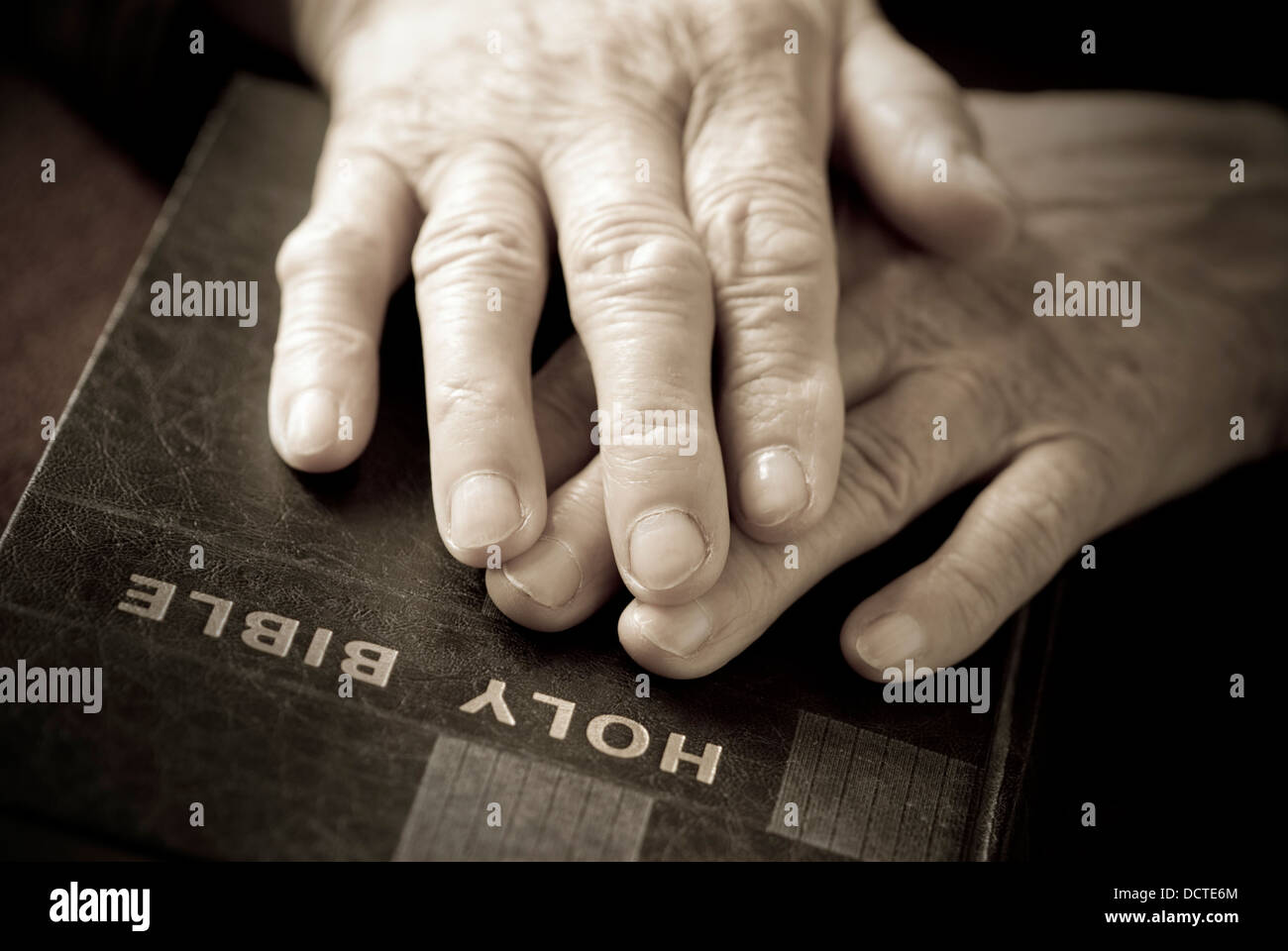 Hände auf die Bibel Stockfoto