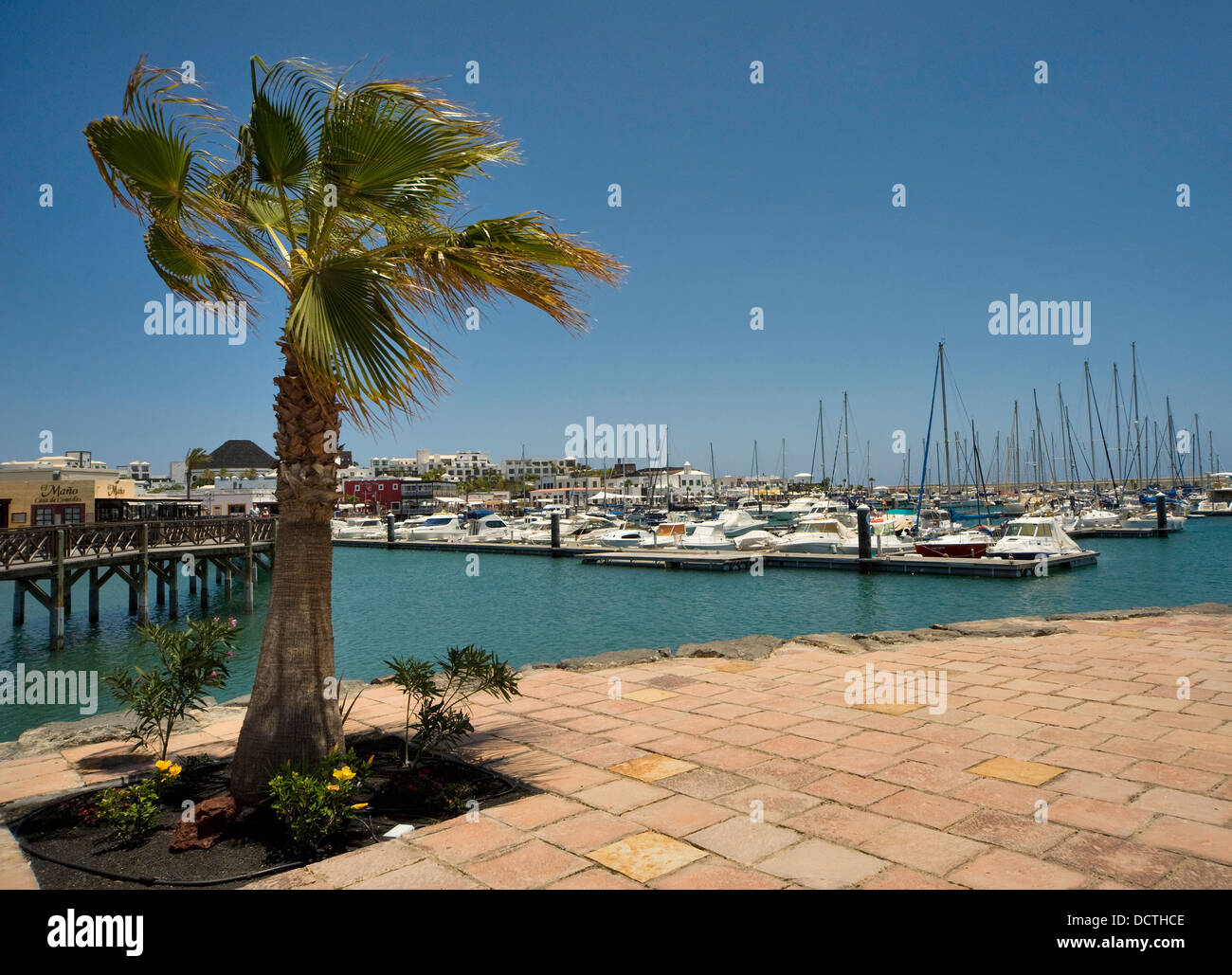 Marina Rubicon, Lanzarote, Kanarische Inseln, Spanien Stockfoto