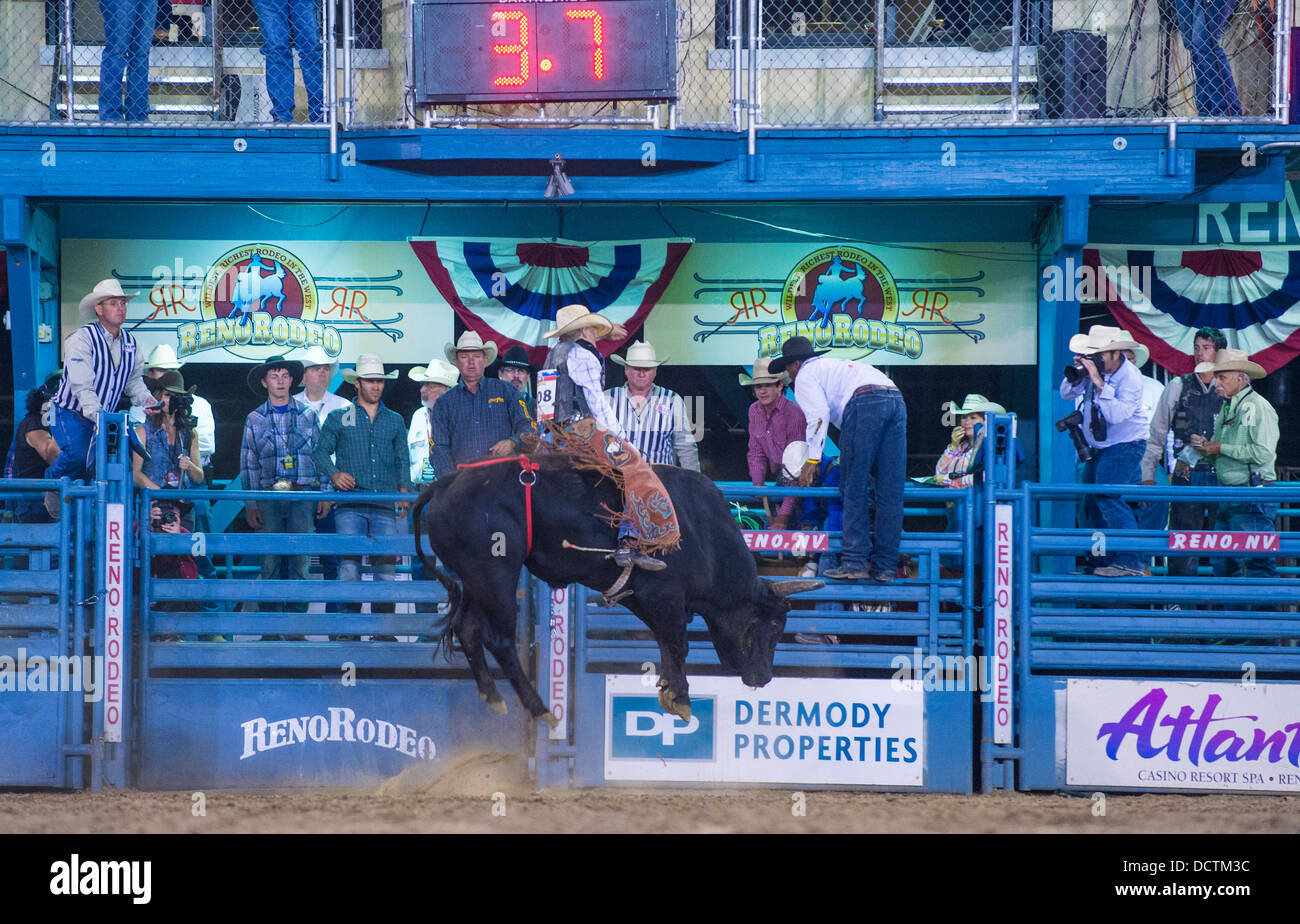 Cowboy-Teilnehmer in einem Bullenreiten Wettbewerb beim Reno Rodeo Stockfoto