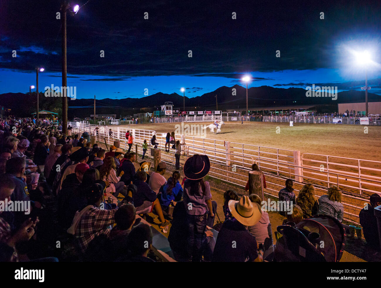 Nachtansicht der Zuschauer auf der Tribüne beobachten das Chaffee County Fair & Rodeo Stockfoto
