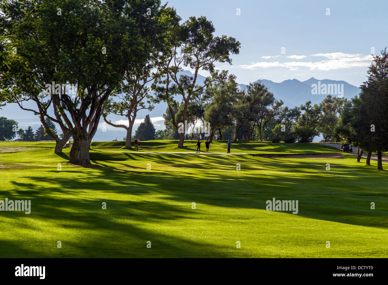 Hinterleuchtete betrachten des späten Nachmittags Licht auf üppige Golfplatz, Salida, Colorado, USA Stockfoto