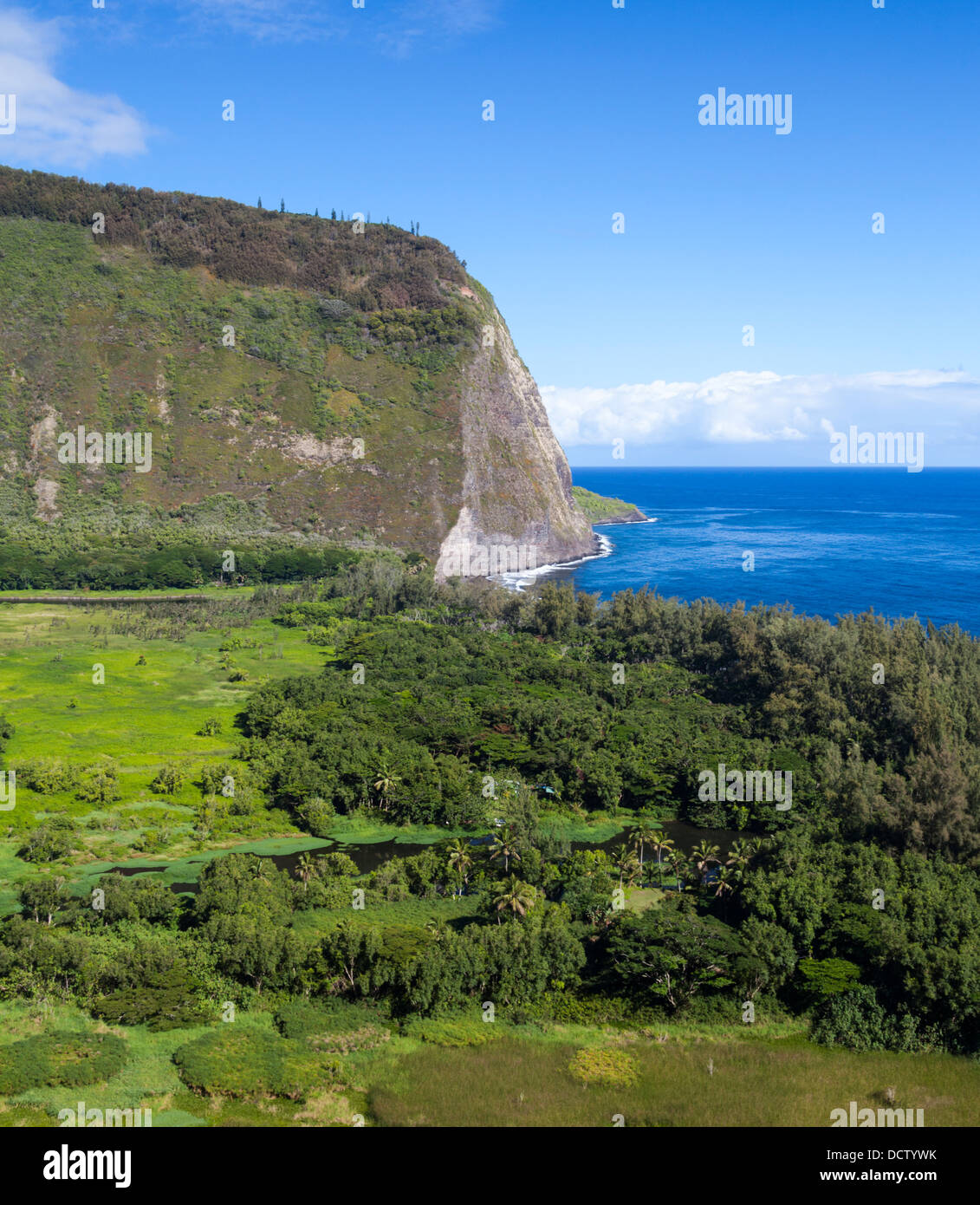 Waipio Valley auf der Big Island von Hawaii Stockfoto