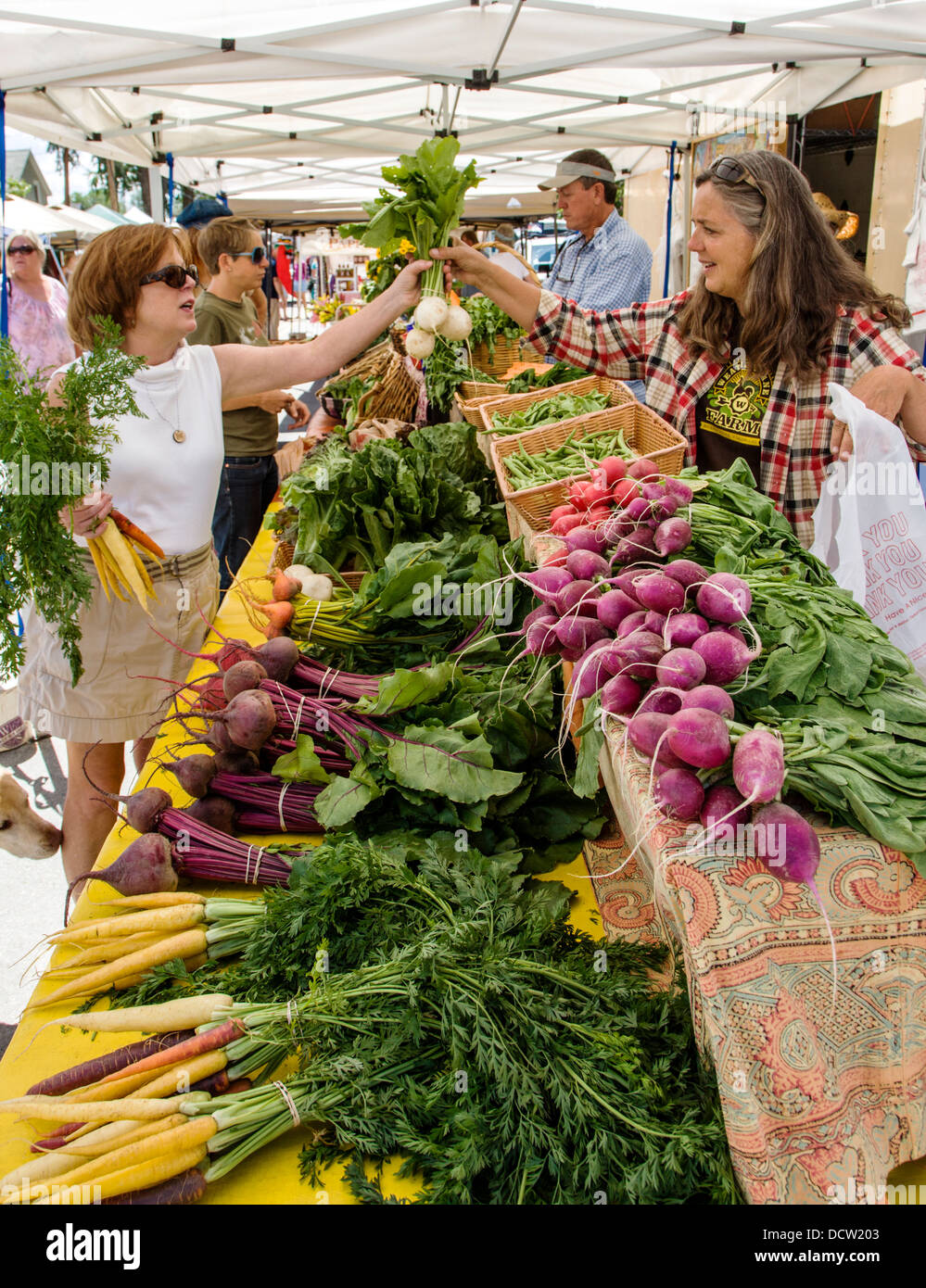 Kunden kaufen frisches Obst und Gemüse in Buena Vista Colorado Bauernmarkt Stockfoto