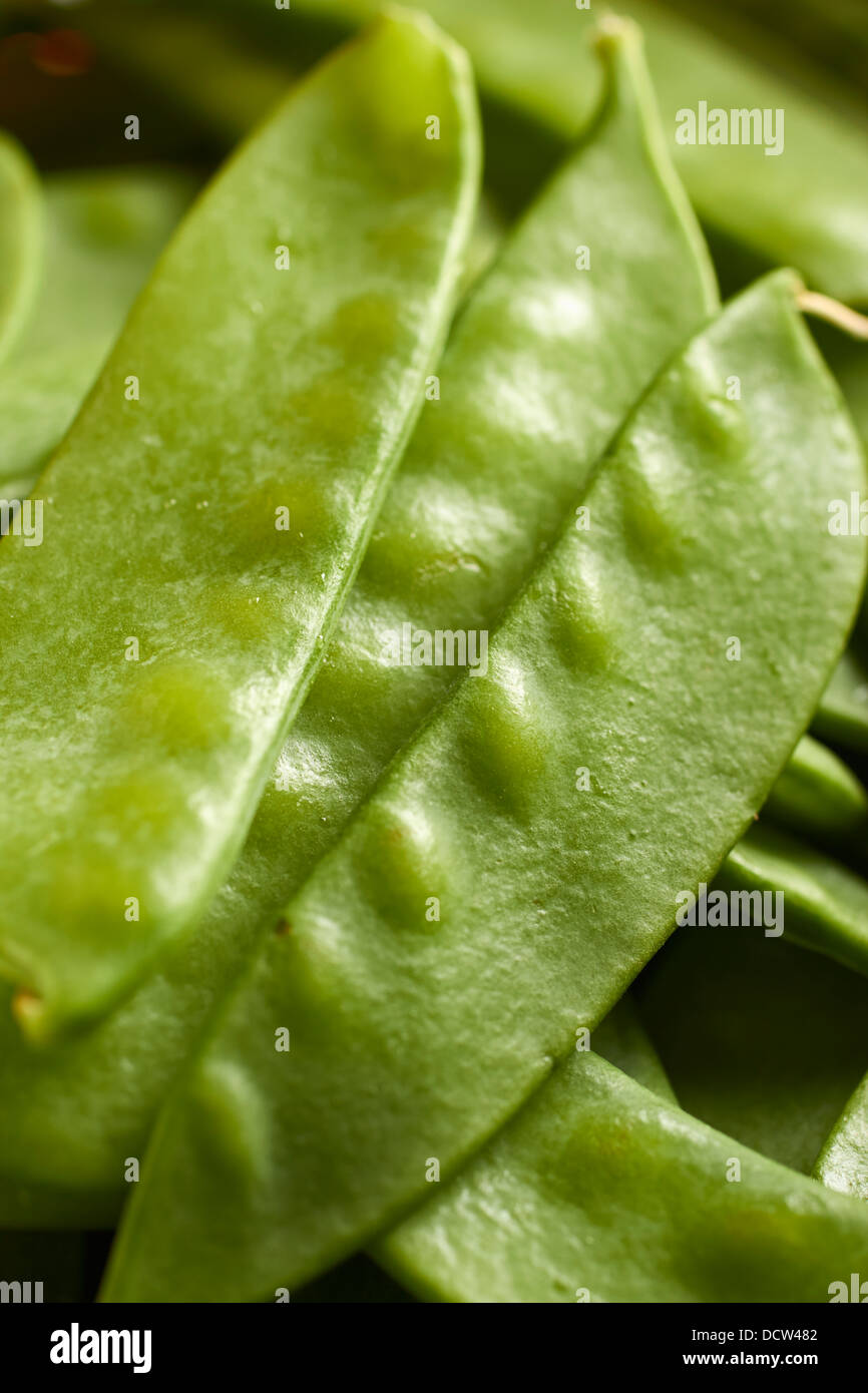 frische Zuckerschoten Stockfoto