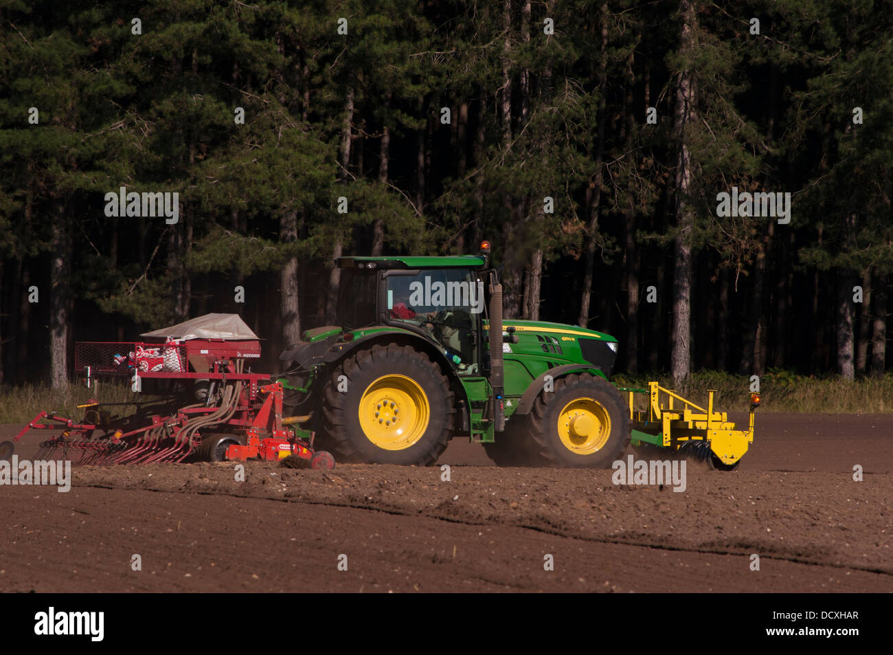 John Deere Traktor Saatgut in Breckland Field Stockfoto