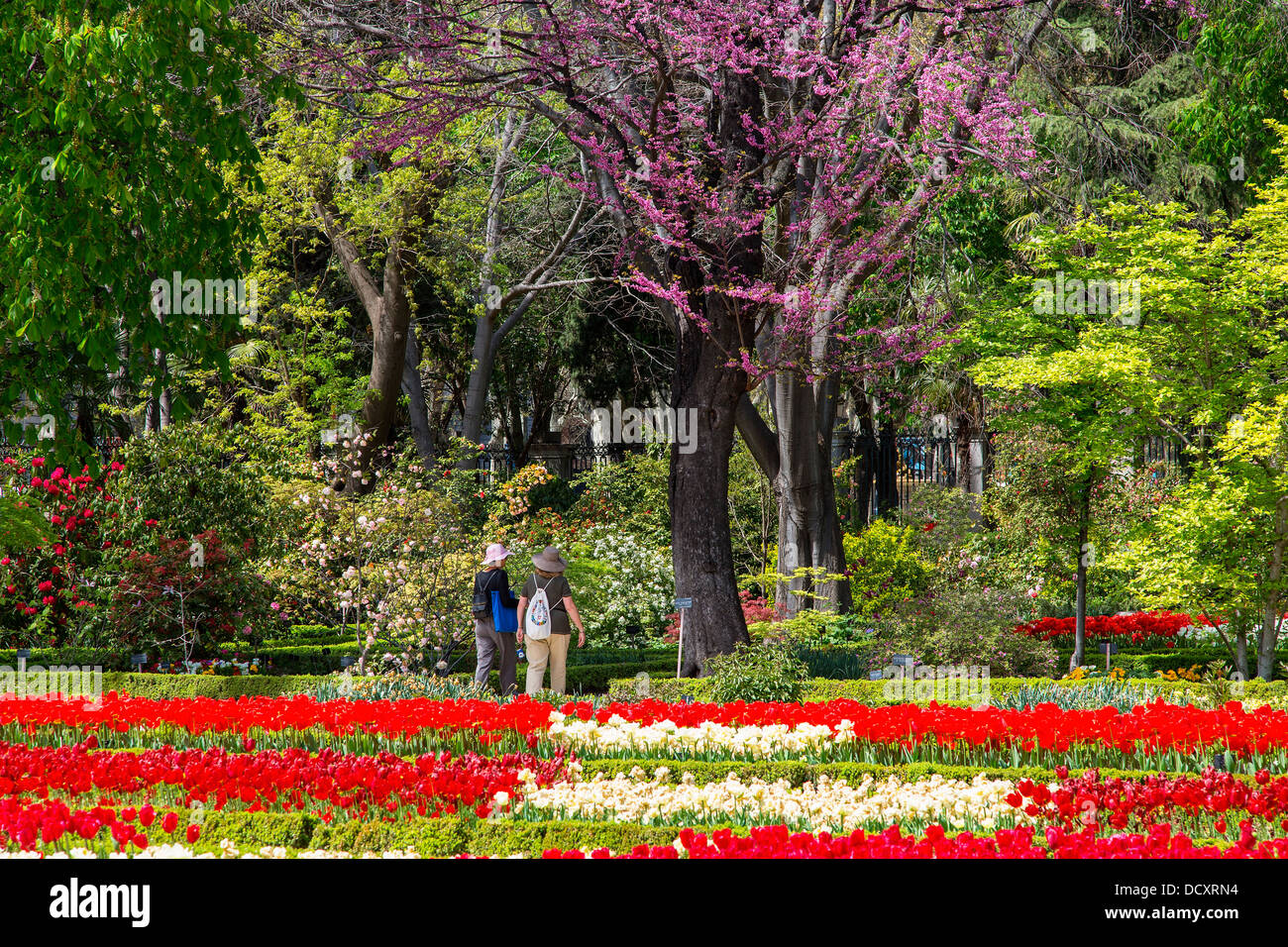 Madrid Botanischer Garten Stockfotos und bilder Kaufen Alamy