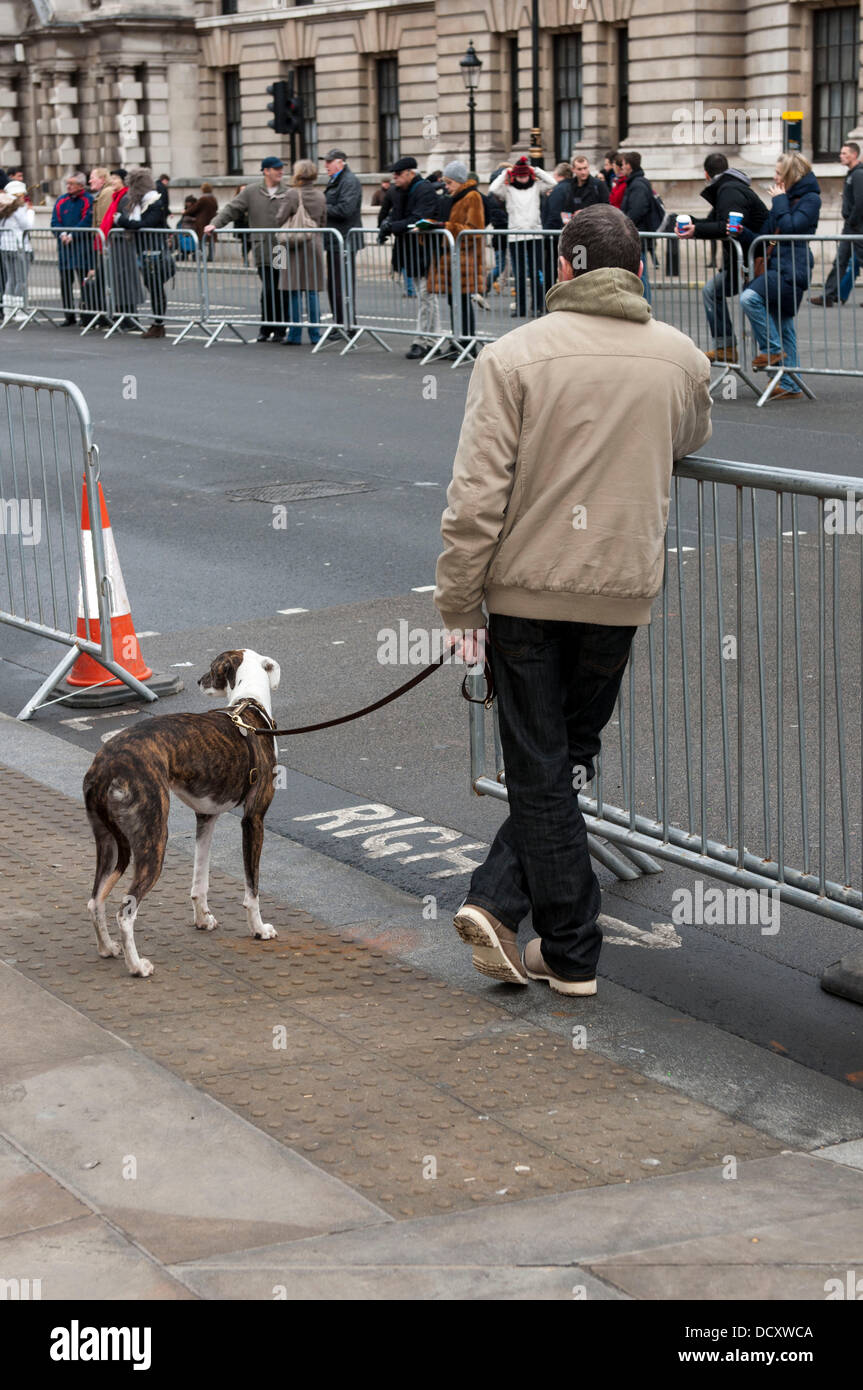 Ein Mann und sein Hund wartet auf neuen Jahren Parade The London Silvester Day Parade London, England - 01.01.12 Stockfoto