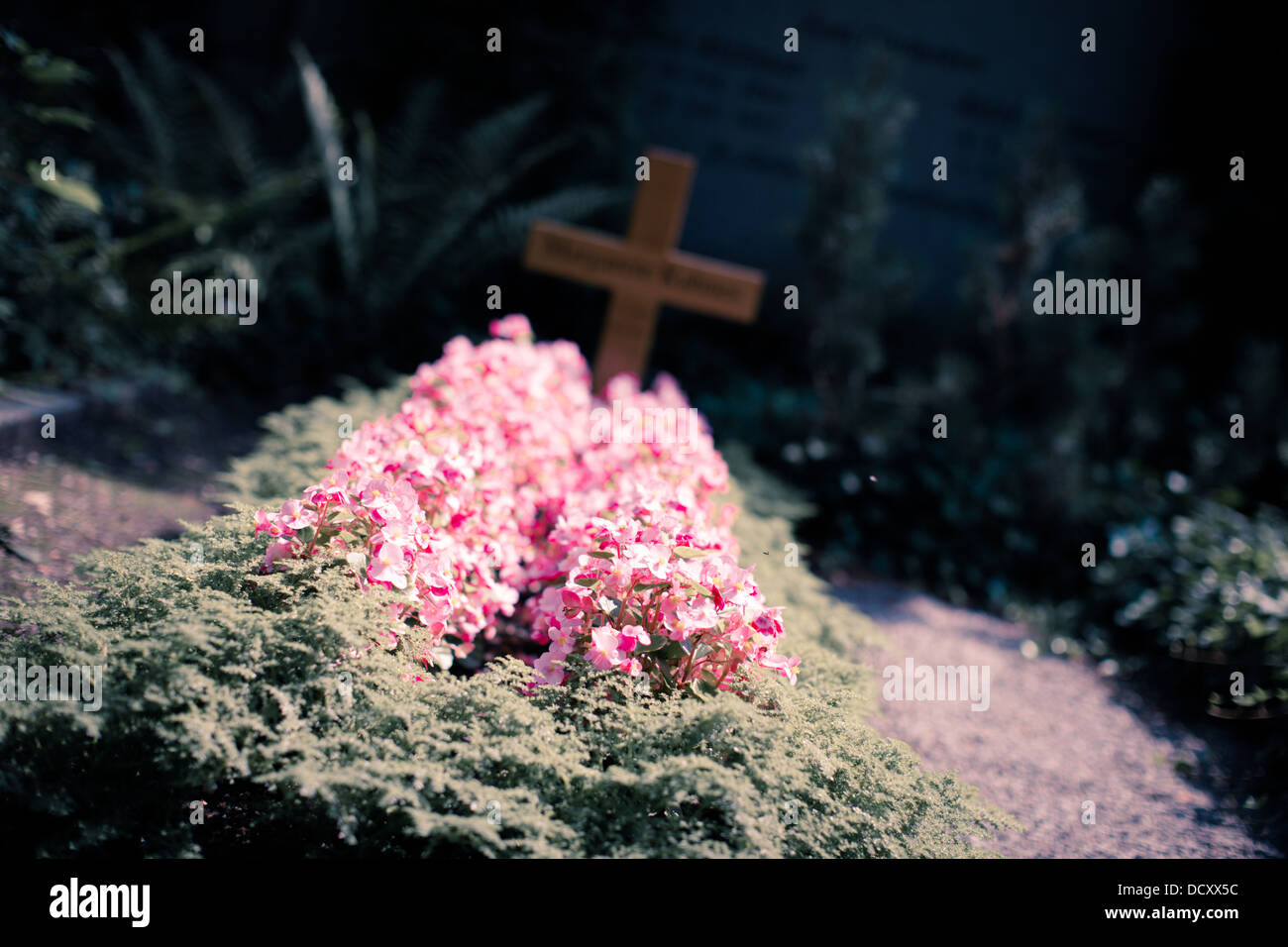 Blick auf das Grab mit einem Kreuz Stockfoto