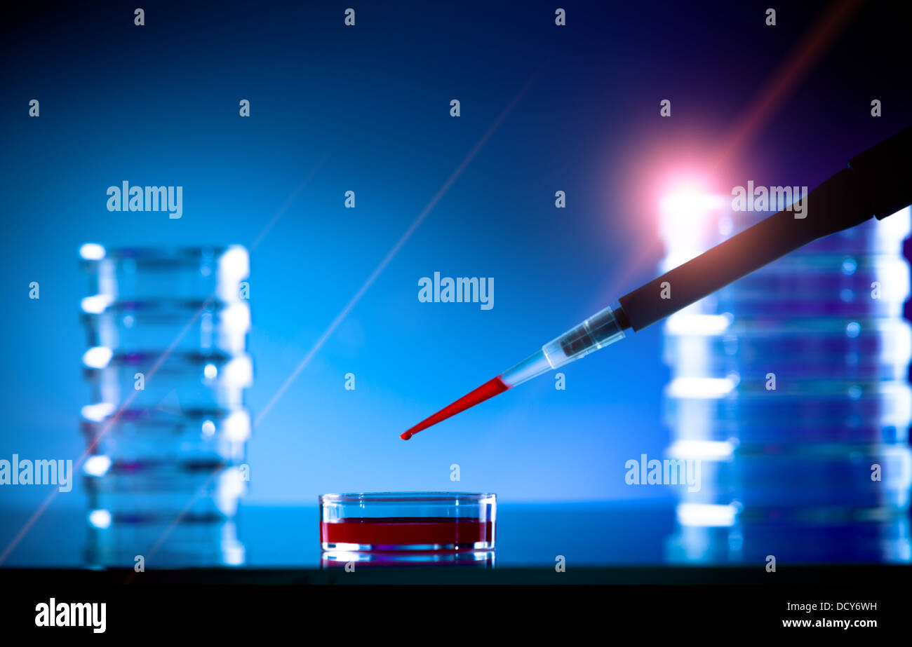 Pipette und Petrischale auf einem Glastisch im Labor Stockfoto