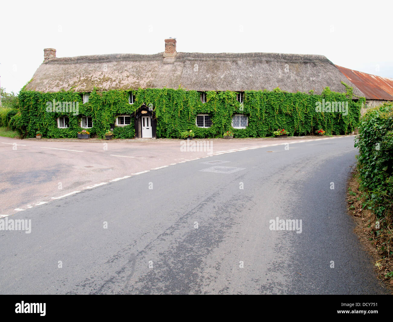 Russische überdachte Rebhaus, Devon, UK 2013 Stockfoto