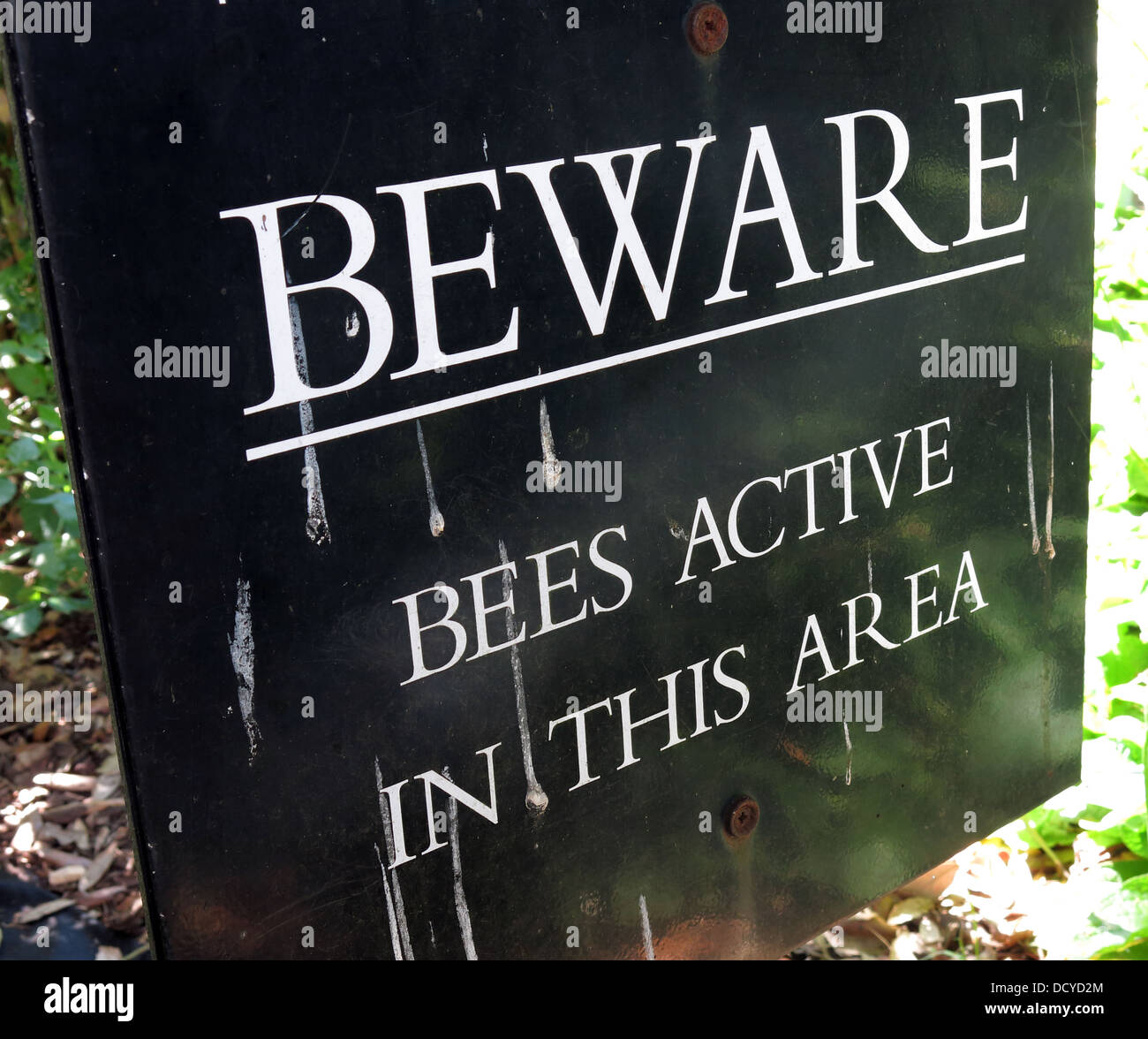 Schild: Beware Bees Active, in diesem Gebiet Stockfoto