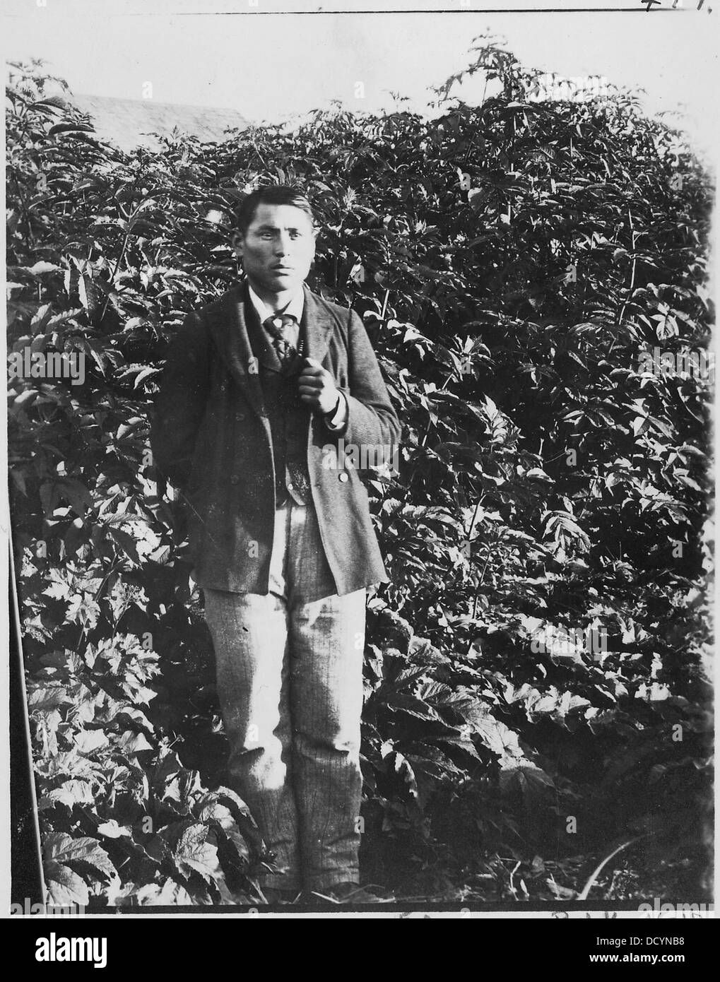 Dieses Foto aus dem Jahr 1895 zeigt Mr. Johnson, einen Thlinket (Tlingit) Indianer aus Ketchikan, Alaska. Von B.A. Haldane erobert, bietet er einen Einblick in die Geschichte und Kultur der indigenen Völker Alaskas. Stockfoto