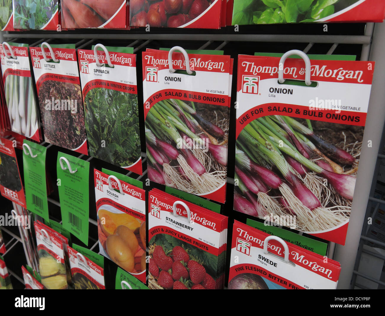 Zwiebel Thompson & Morgan Garten Zuteilung Samentüten im Gartencenter / Supermarkt, beliebte wieder th Großbritannien Stockfoto
