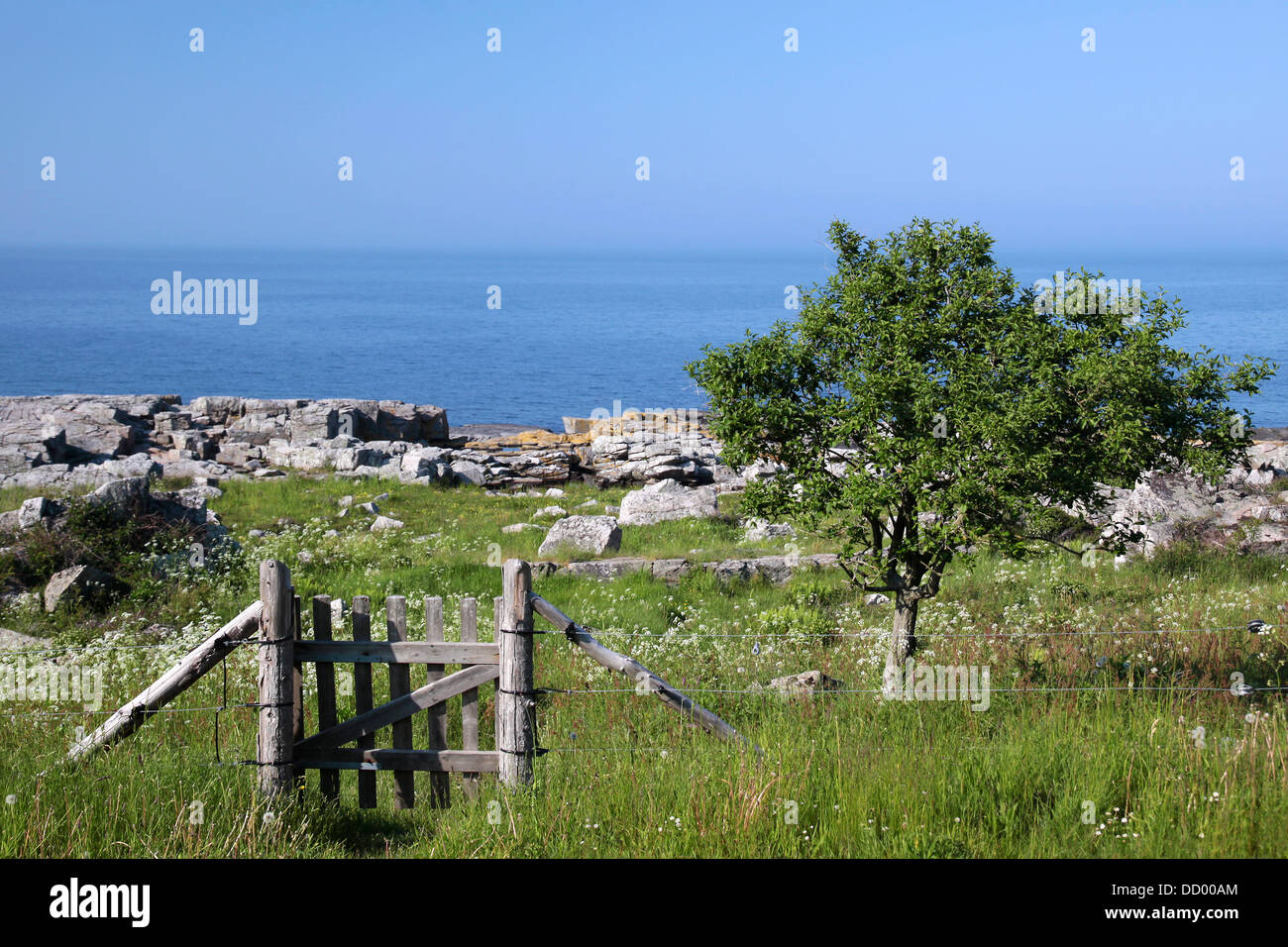 Wiese landen mit Toren auf See auf Bornholm, Dänemark Stockfoto