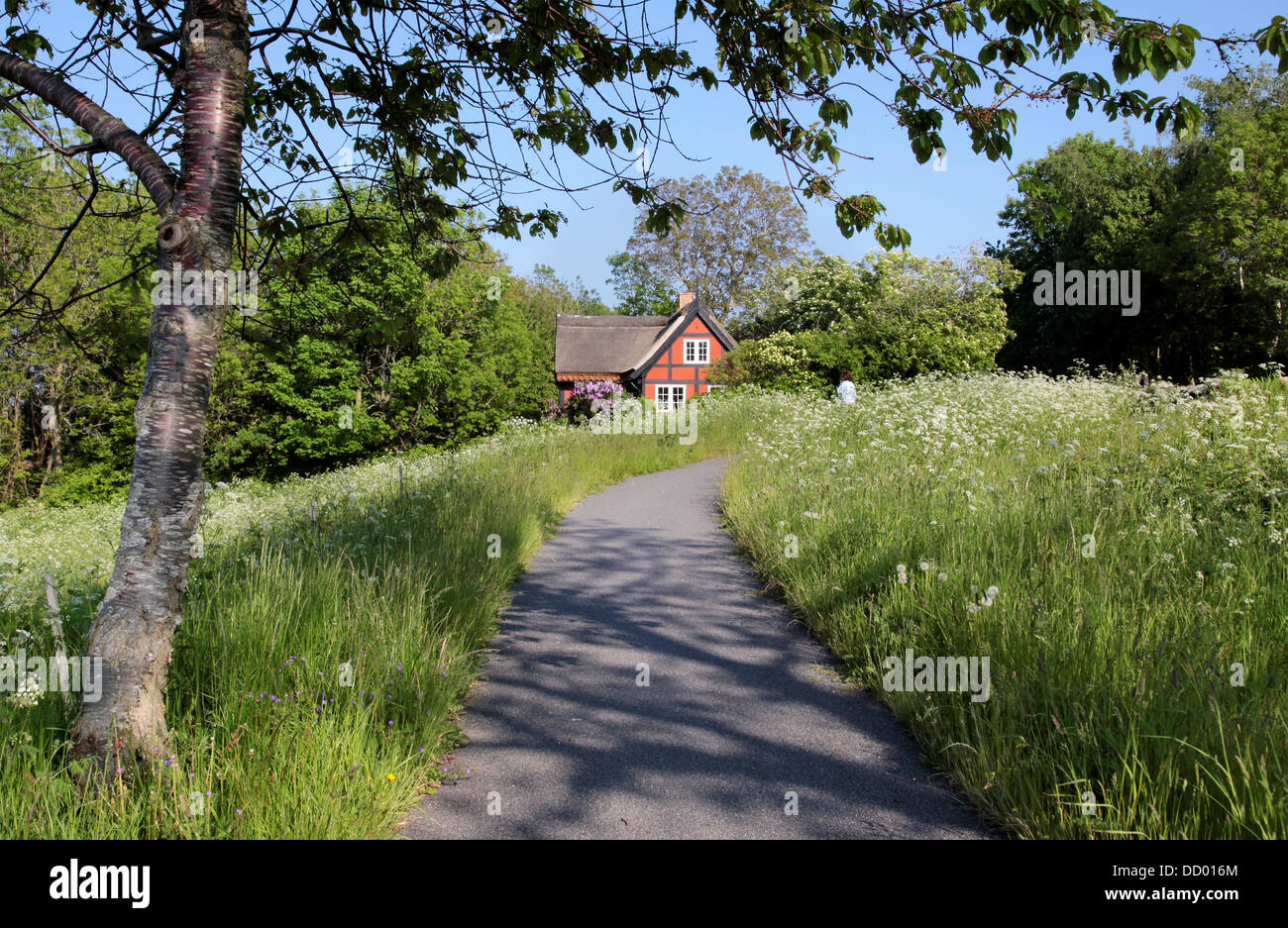 Idyllisches Ferienhaus inmitten von blühenden Wiesen auf Bornholm, Dänemark Stockfoto