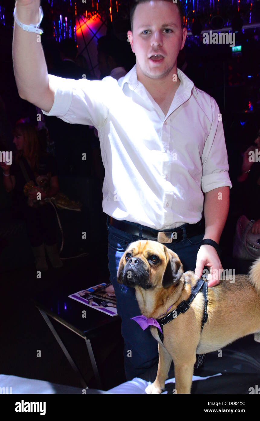 London UK 21. August 2013: Hunde-Liebhaber besucht CH5 TV Launch Party -, die die Welten die meisten verwöhnten Haustier? bei DSTRKT. Stockfoto