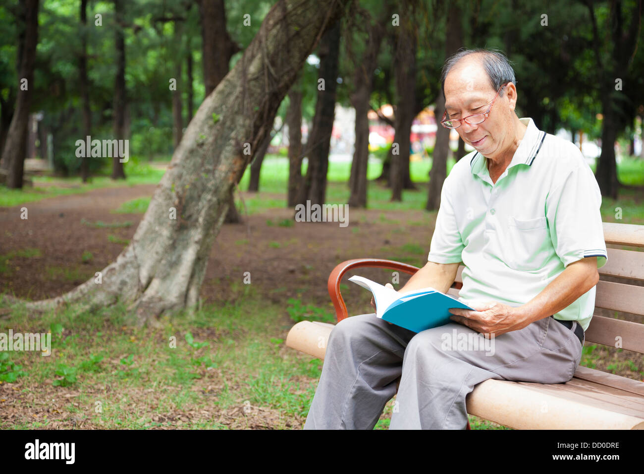 glücklicher senior Mann auf der Bank sitzen und Buch Stockfoto