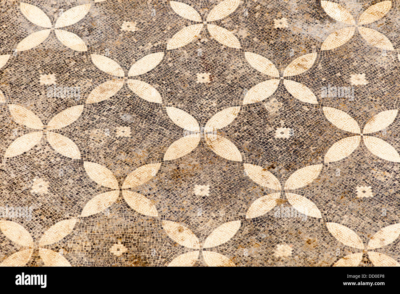 Gemusterte Mosaik auf dem Boden eines der Terrasse beherbergt, Ephesus, Türkei Stockfoto