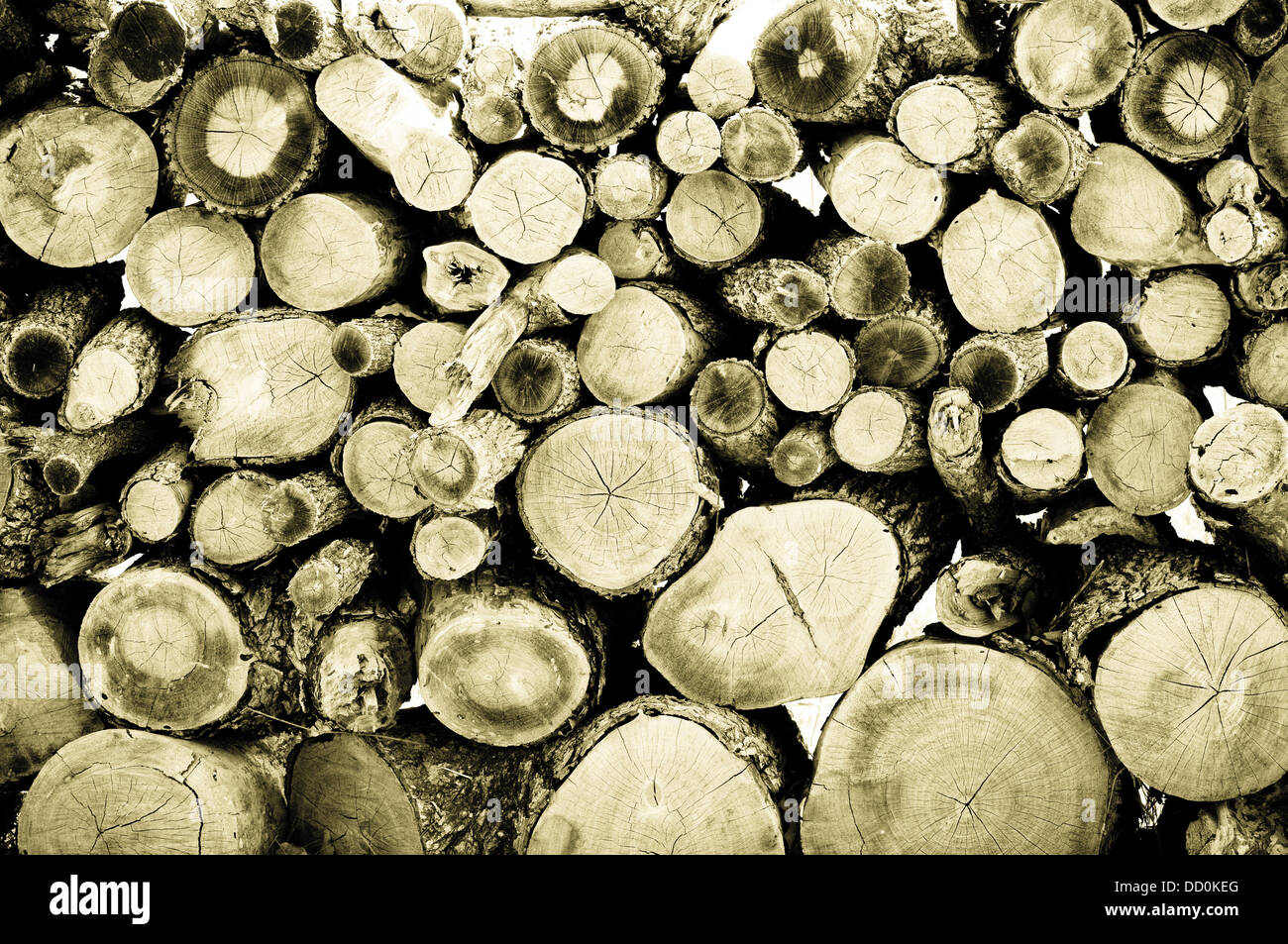 Brennholz gestapelt als Wallpaper Hintergrund Stockfoto