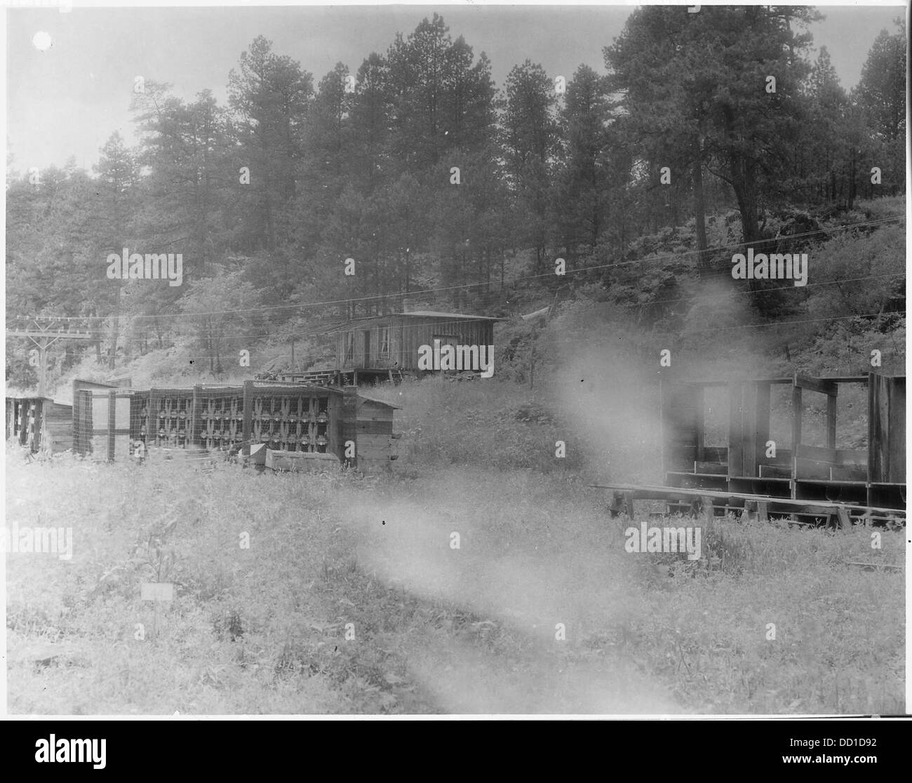 Nepper Kabine und ein Teil seiner Kaninchenställe auf hoffnungsvolle Peter Granit Placer--286123 Stockfoto