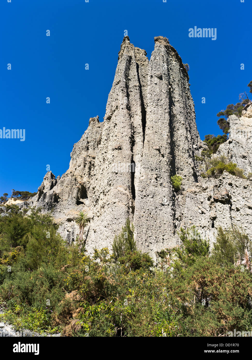 dh Putangirua Pinnacles WAIRARAPA Neuseeland geologischen Rock Formation Erde Säulen Aorangi reicht Tal Stockfoto