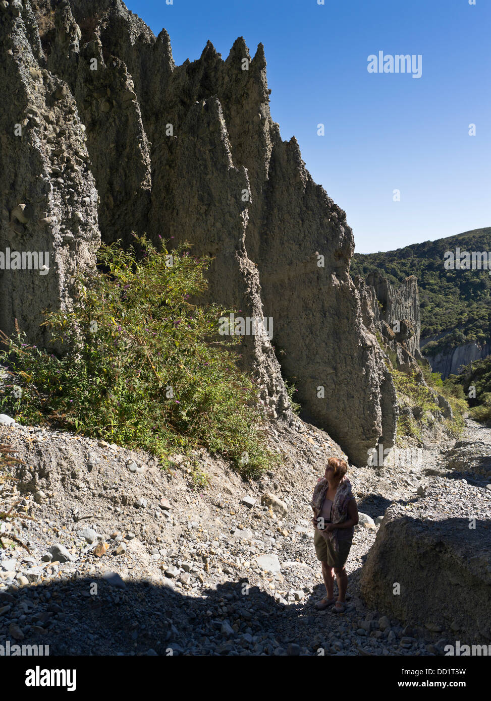 dh Putangirua Pinnacles WAIRARAPA Neuseeland Frau touristischen geologischen Rock Formation Erde Säulen Aorangi reicht Tal Stockfoto