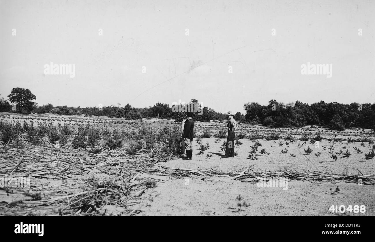 Diese Studie vergleicht das Höhenwachstum der Vegetation in einem gebürsteten und einem ungebürsteten Gebiet und zeigt die Auswirkungen der Landbewirtschaftungspraktiken auf die Pflanzenentwicklung. Stockfoto