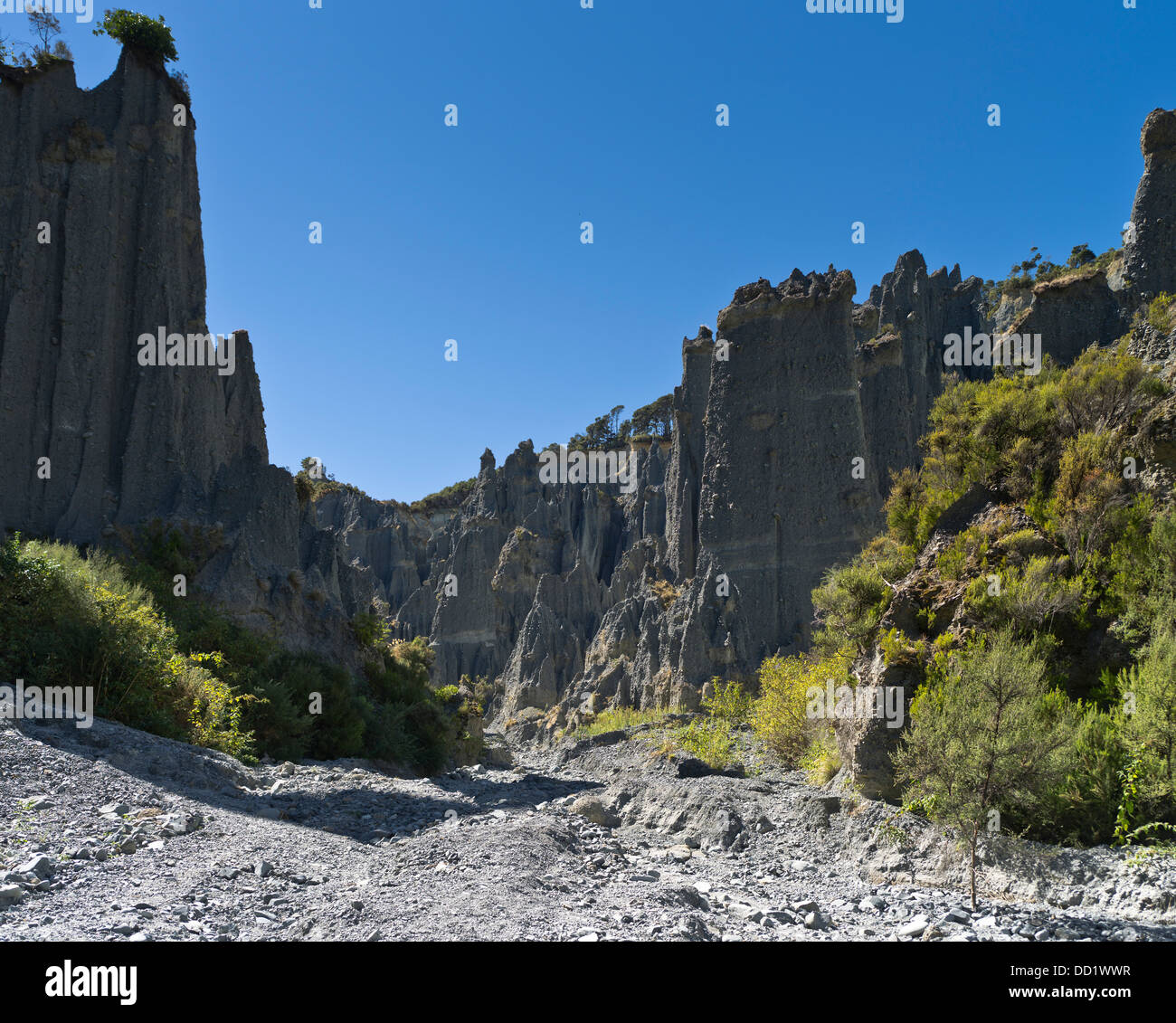 dh Putangirua Pinnacles WAIRARAPA NEUSEELAND Geologische Gesteinsformation Erdsäulen Aorangi Ranges Talklippen Erosion felsige Landschaft Stockfoto