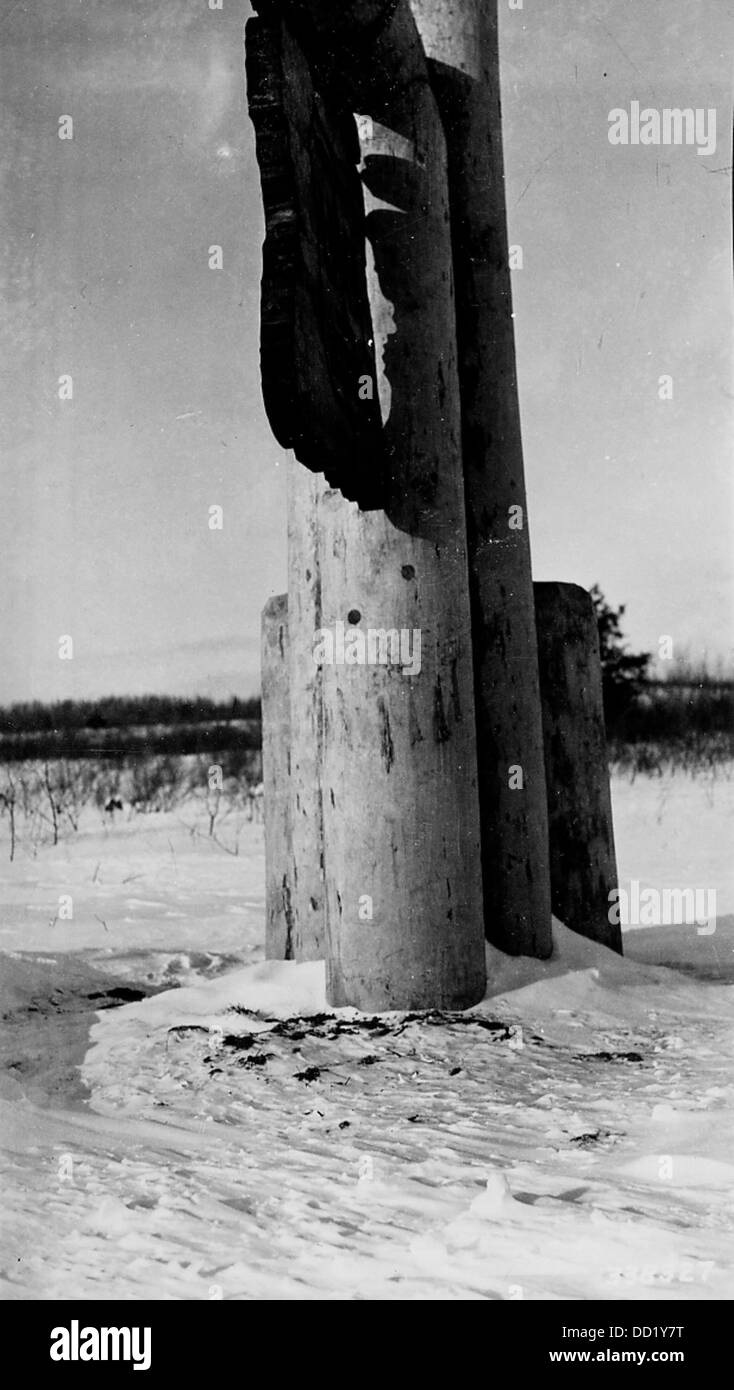 Dieses Foto zeigt das Ostportal mit Kiefern. Es unterstreicht die natürliche Schönheit des Ortes, wobei der besondere Baumart in der Gegend hervorgehoben wird. Stockfoto