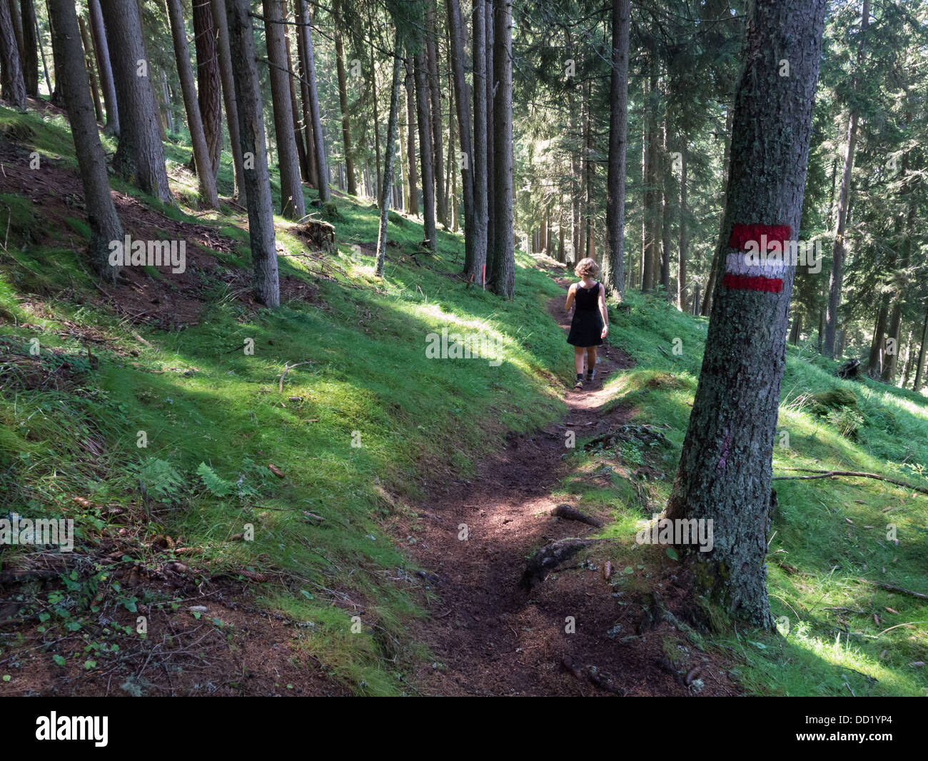 Eine sportliche Frau in schwarz zu Fuß auf einem Pfad durch den Wald in der Nähe von Innsbruck, Österreich Stockfoto
