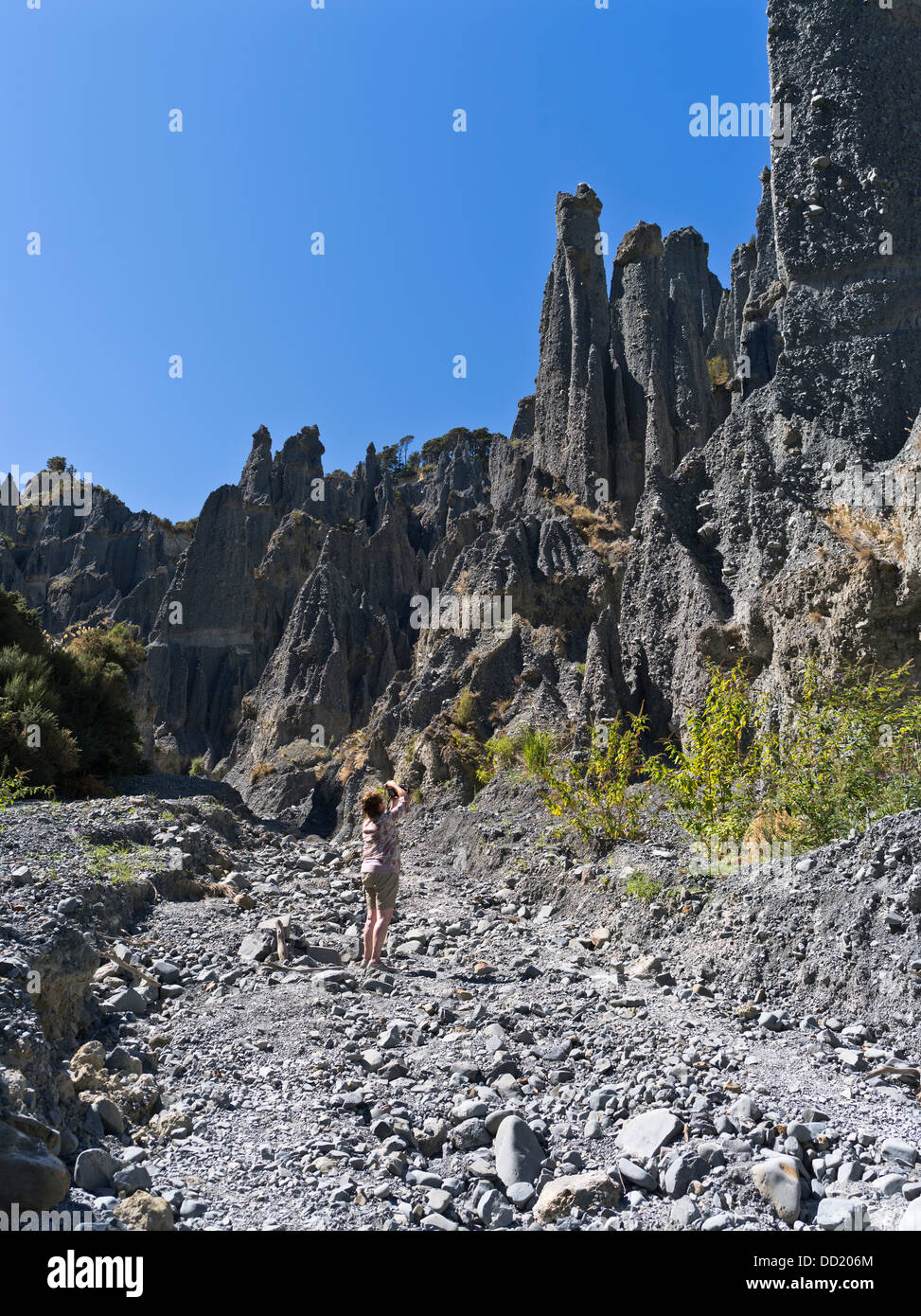 dh Putangirua Pinnacles WAIRARAPA NEUSEELAND Frau Tourist Geologische Gesteinsformation Erdsäulen Aorangi Ranges Tal felsige Landschaft Stockfoto