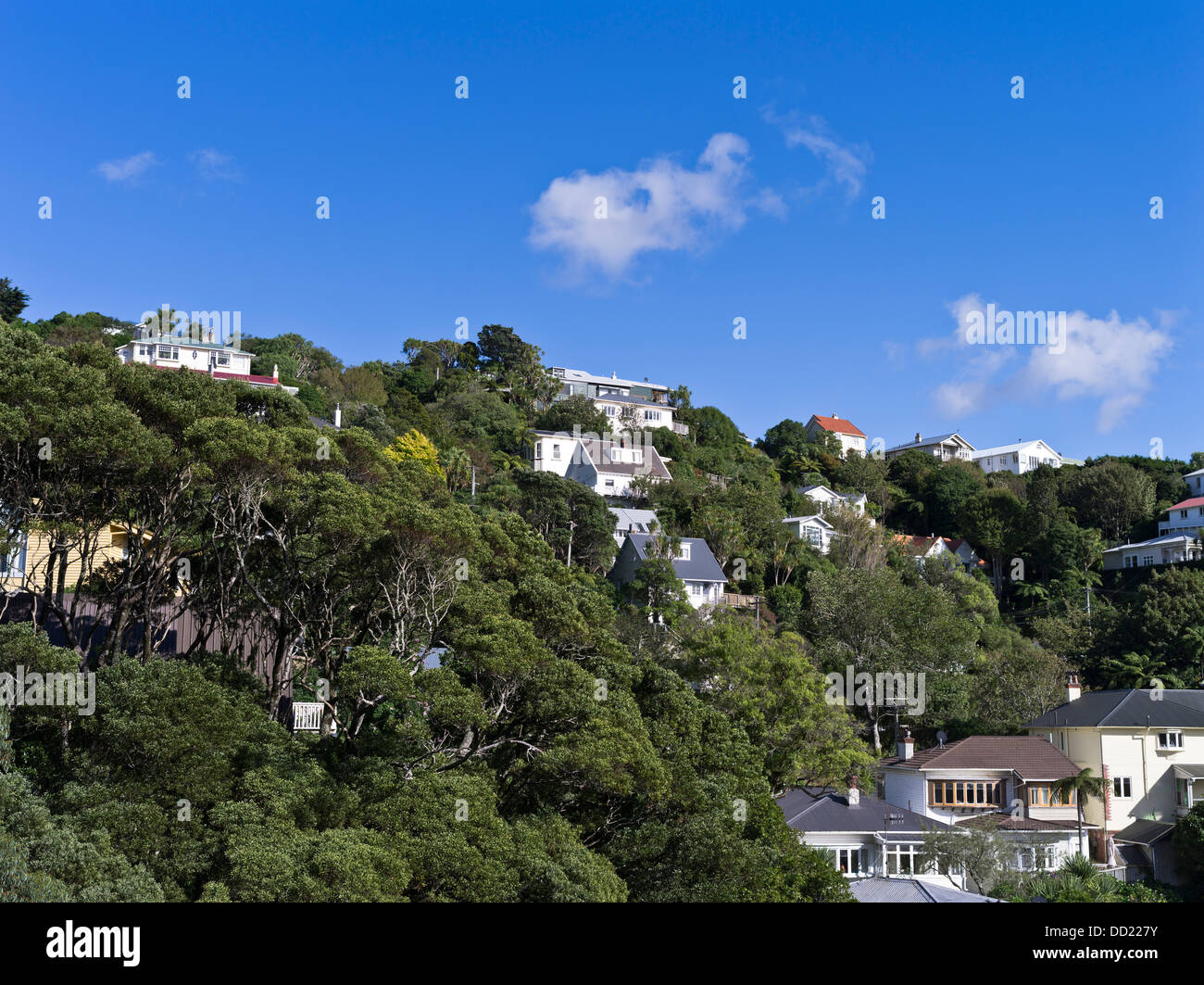 dh WELLINGTON NEW ZEALAND Hillside suburban Wohnhäuser Stockfoto
