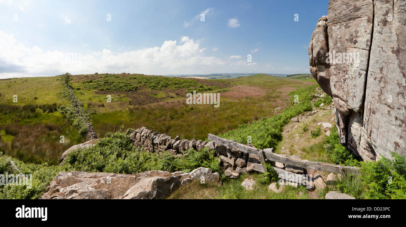 Eine Steinmauer führt quer durch die Landschaft in die Ferne; Northumberland, England Stockfoto