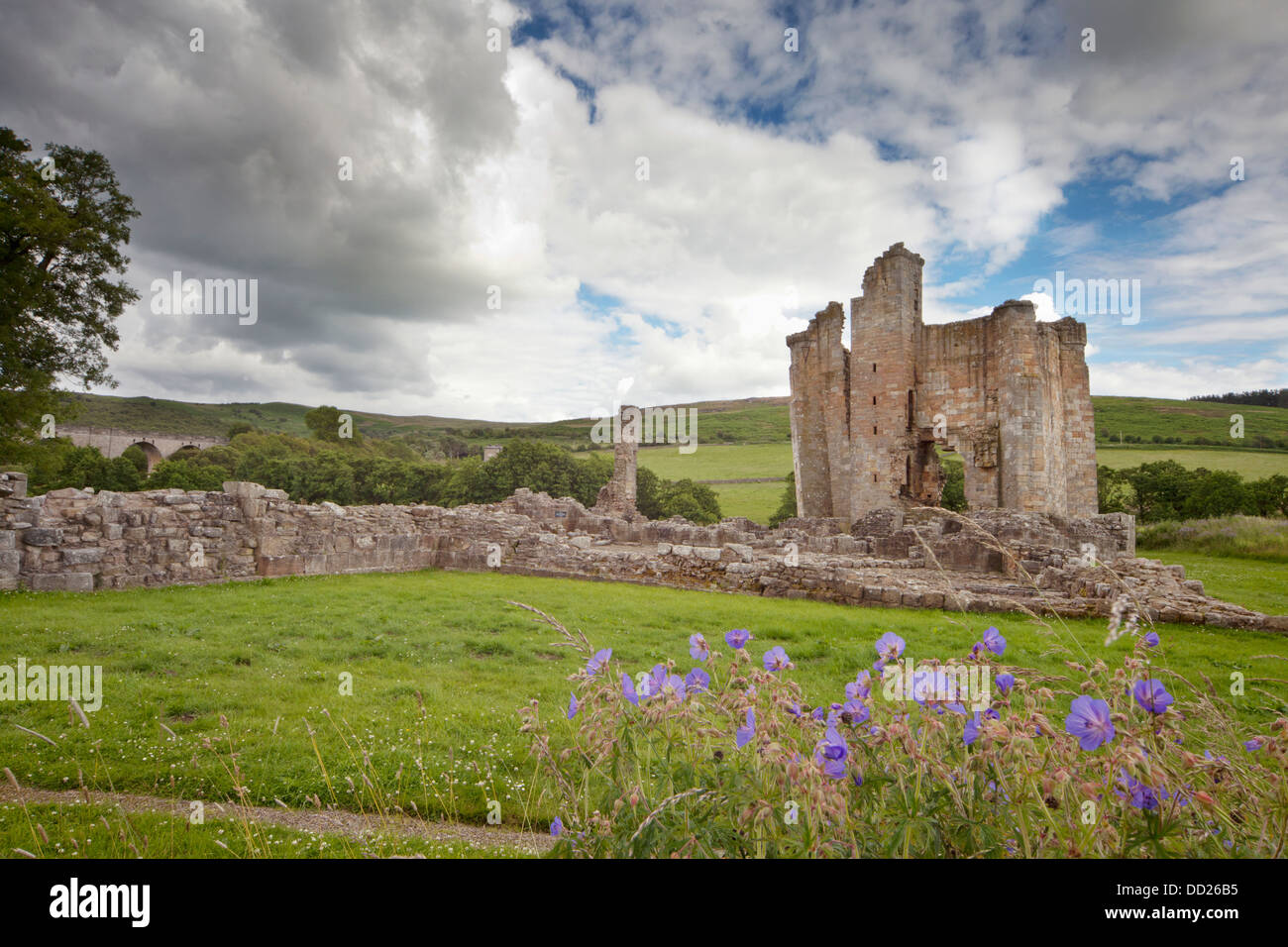 Edlingham Burg; Northumberland, England Stockfoto