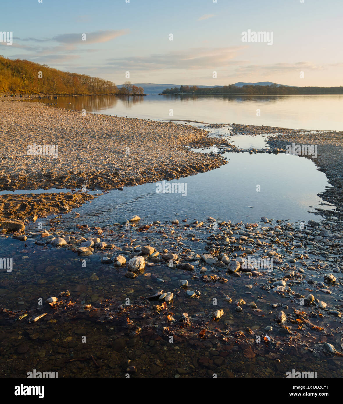 Ein ruhiger Abend Landschaft zeigt sonnenbeschienenen Kies und Steinen am Strand und Blick auf die Hügel am Loch Lomond, Balmaha, Schottland Stockfoto