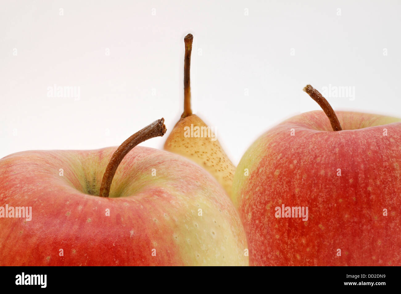 Teil von Apfel und Birne Stockfoto