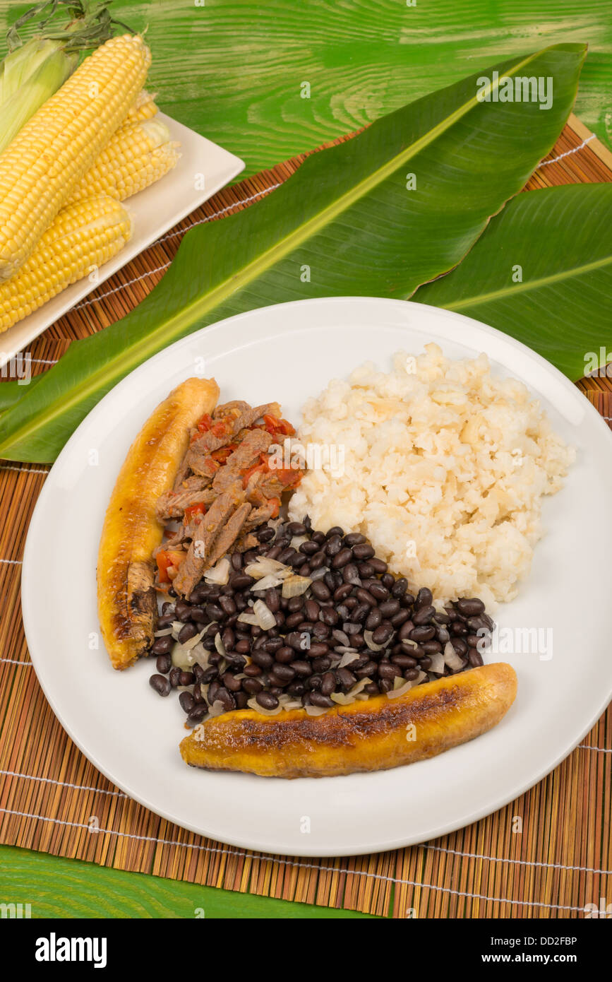 Pabellon Criollo, einem venezolanischen Klassiker sammeln einige der grundlegenden lateinamerikanischen Grundnahrungsmitteln Stockfoto