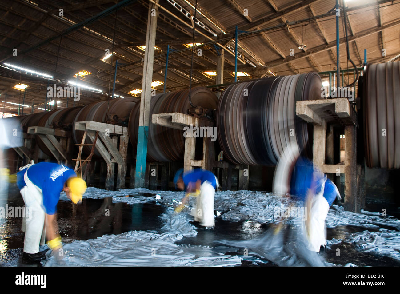 Gerberei in Brasilien, Caceres Stadt, Mato Grosso Staat Amazonas. Nassverfahren blau Chrome Bräunung erzeugt eine dehnbare Leder Stockfoto