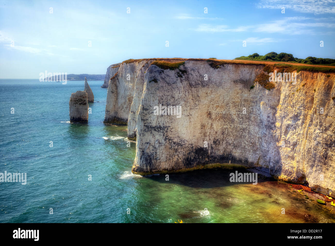 Steilküste mit Kreide Formationen in der Nähe von Old Harry Rock, Purbeck, Dorset, England, Vereinigtes Königreich Stockfoto