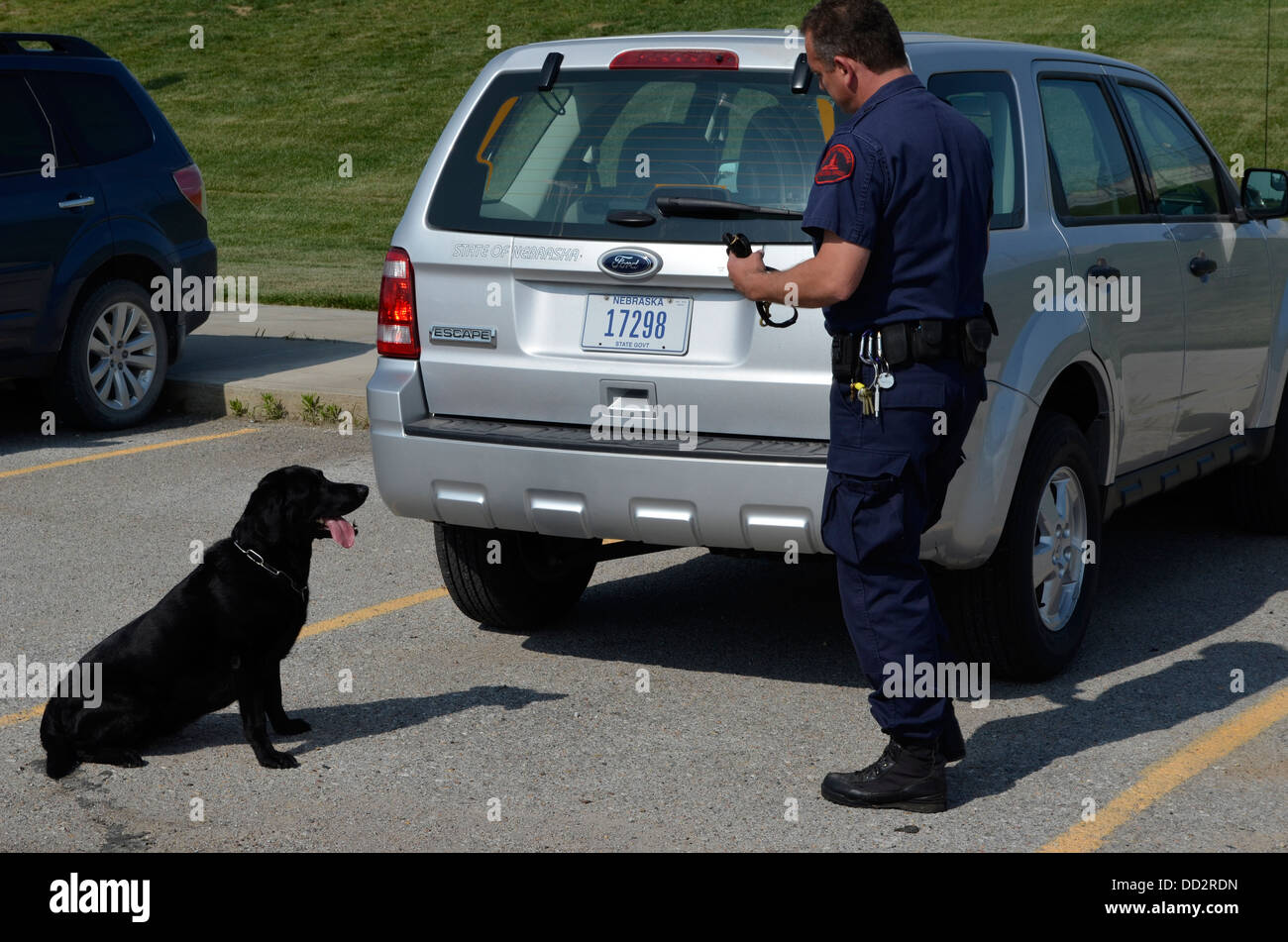 K-9 Hundeführer und Hund führt sucht nach illegalen Drogen in einem amerikanischen maximale Sicherheit Gefängnis-Parkplatz. Stockfoto