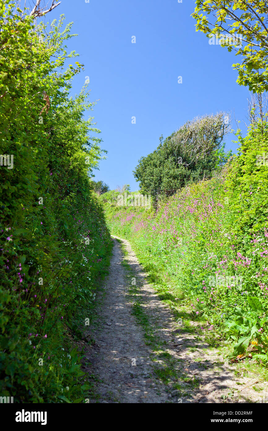 Ein "green Lane' im Frühjahr unter Golden Cap auf die SW Coast Path, Dorset, England, UK. Stockfoto