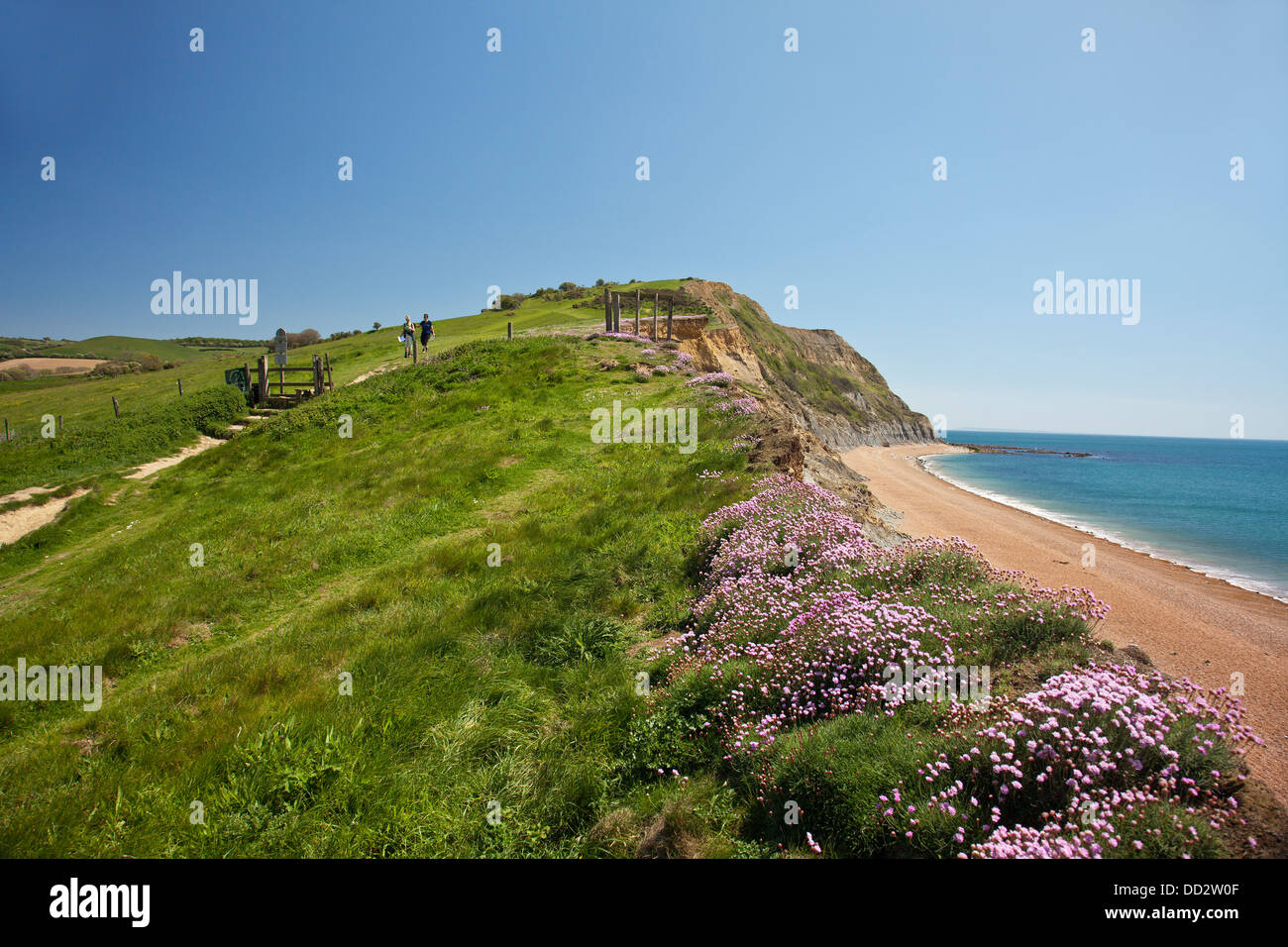 Blick nach Osten von einladendsten Strand entlang der SW Küste in Richtung Ebbe Ostpunkt, Dorset, England, UK Stockfoto